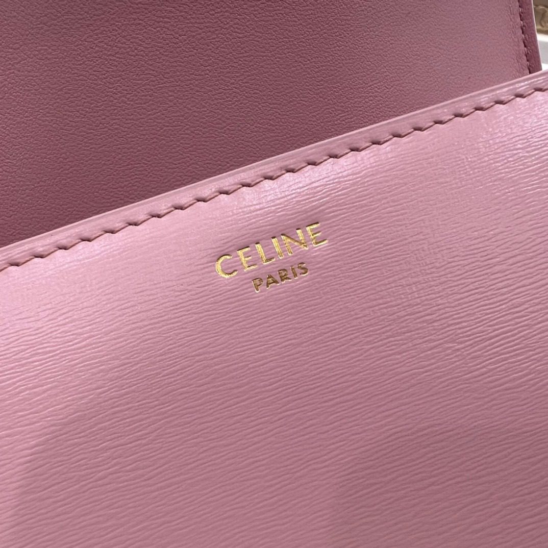 Celine Triomphe Bag view 8