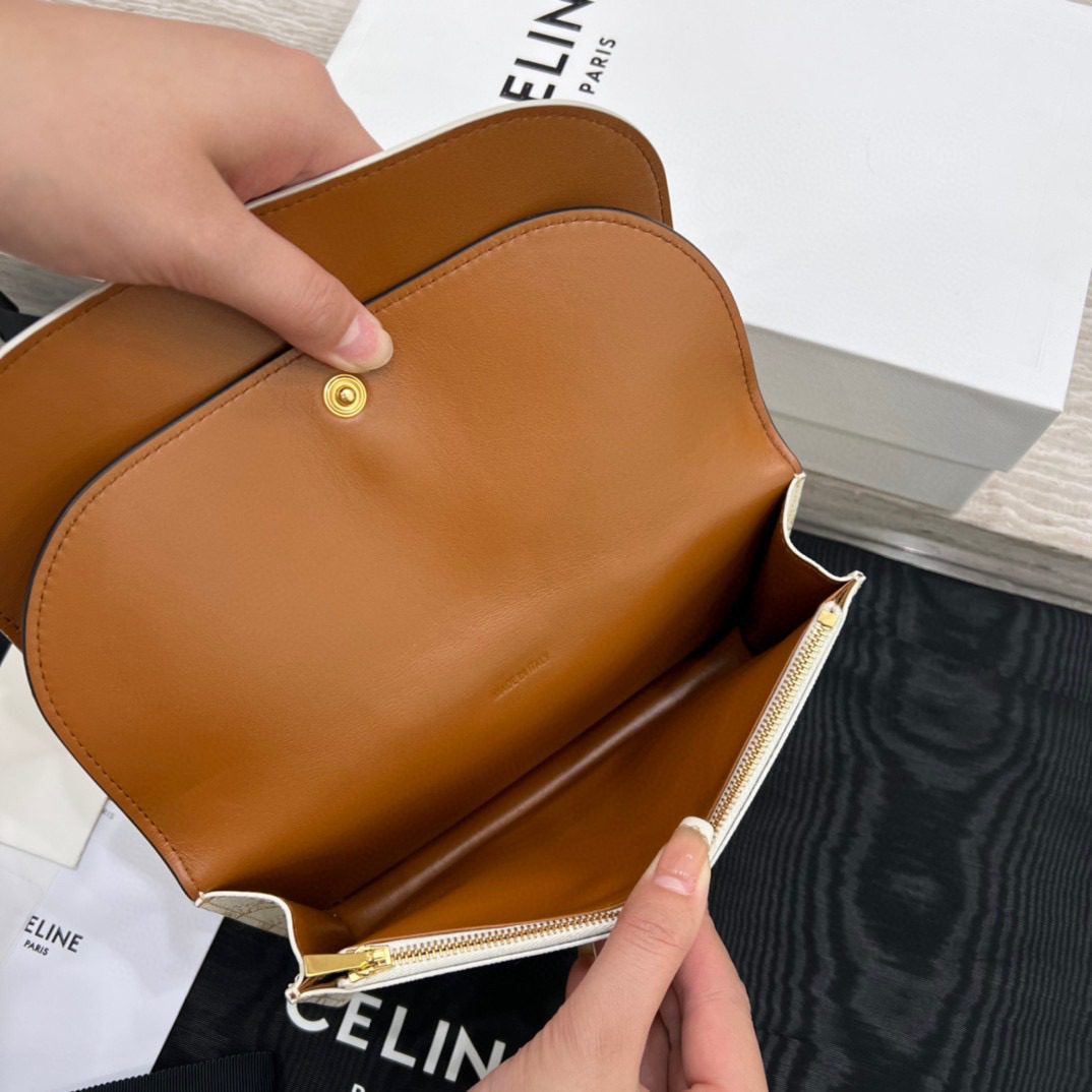 Celine Triomph Canvas Bag view 11