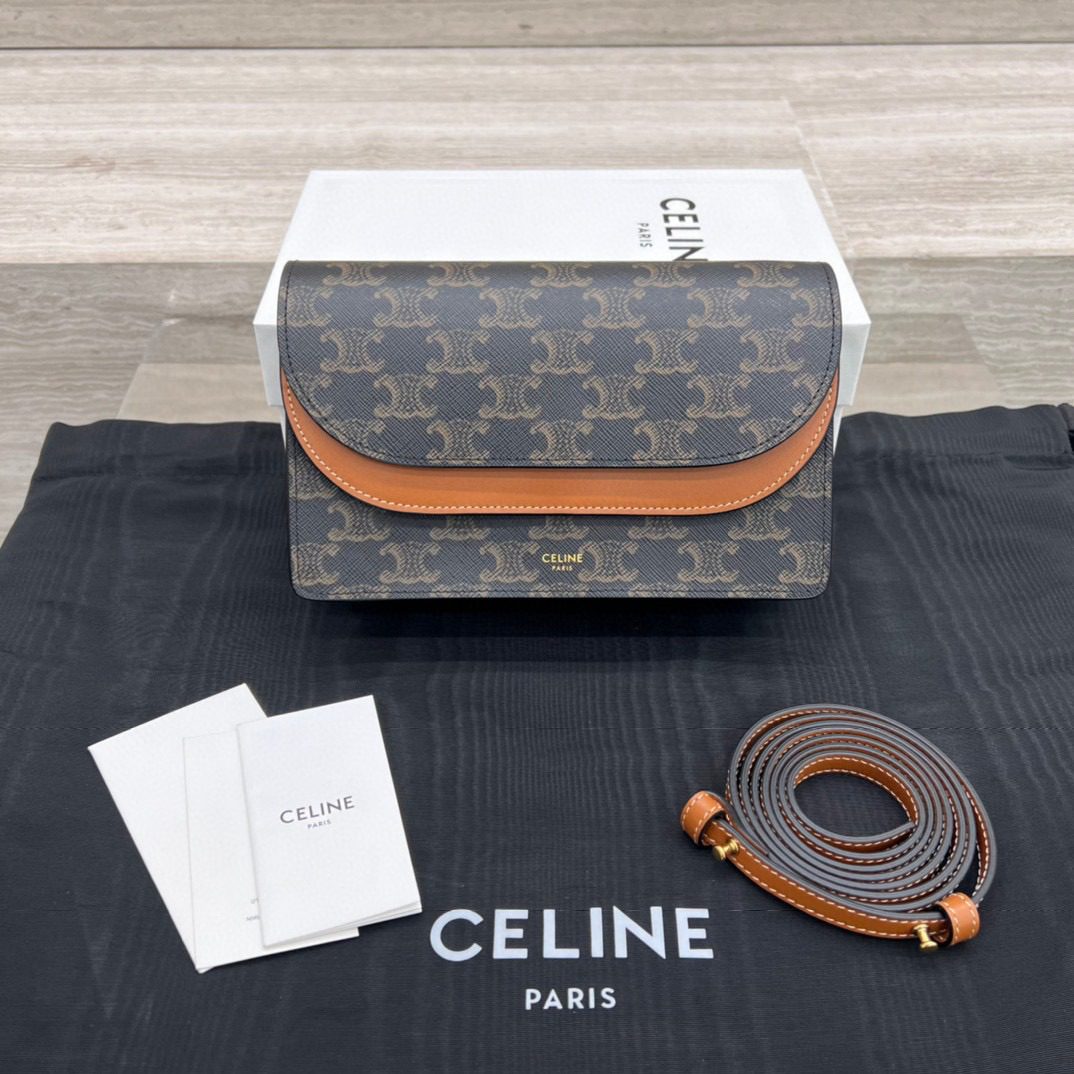 Celine Triomph Canvas Bag view 2