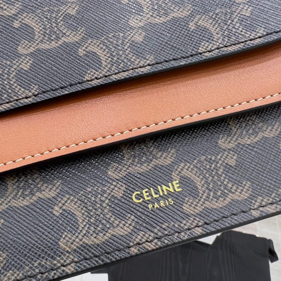 Celine Triomph Canvas Bag view 3