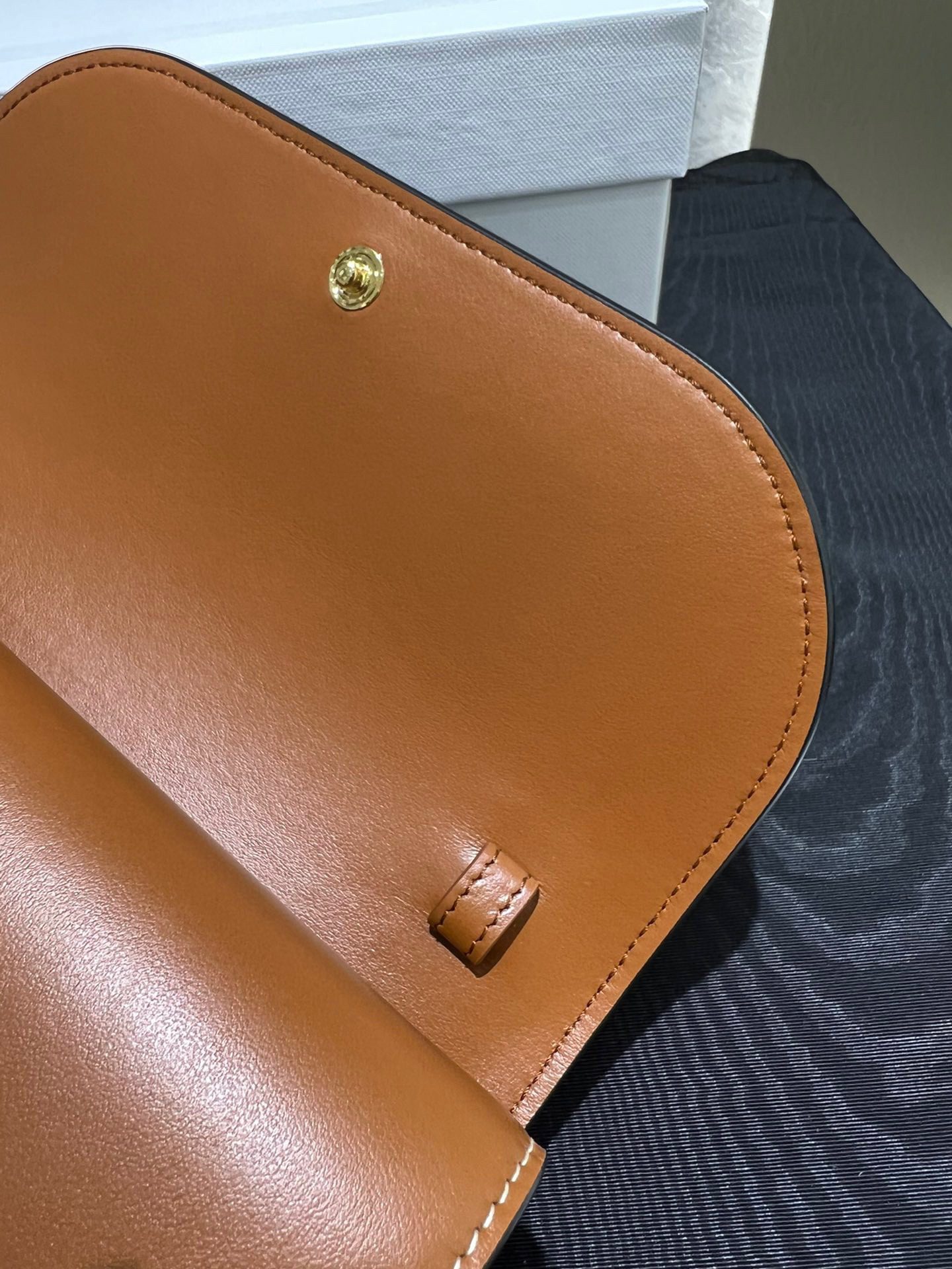 Celine Triomph Canvas Bag view 4