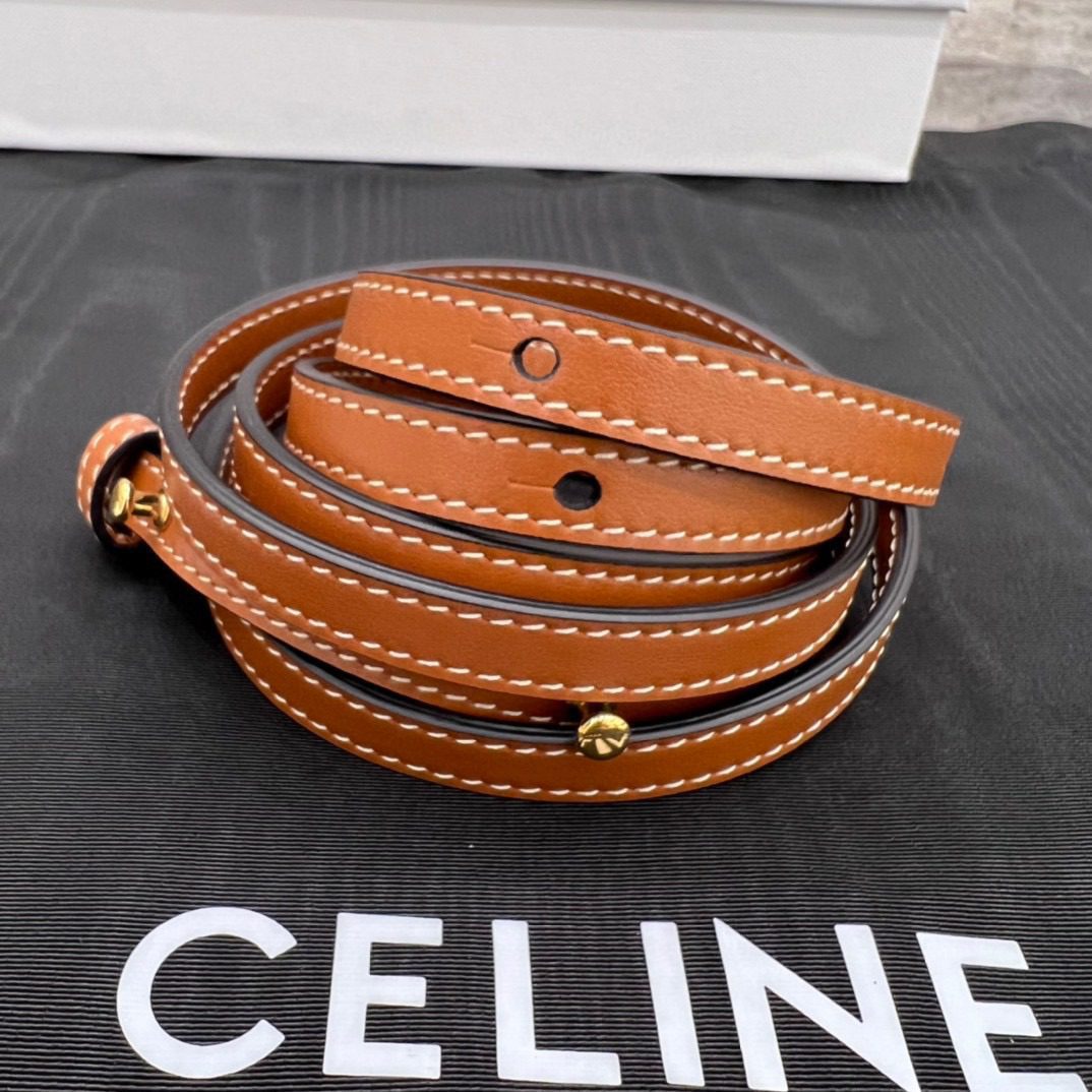 Celine Triomph Canvas Bag view 5
