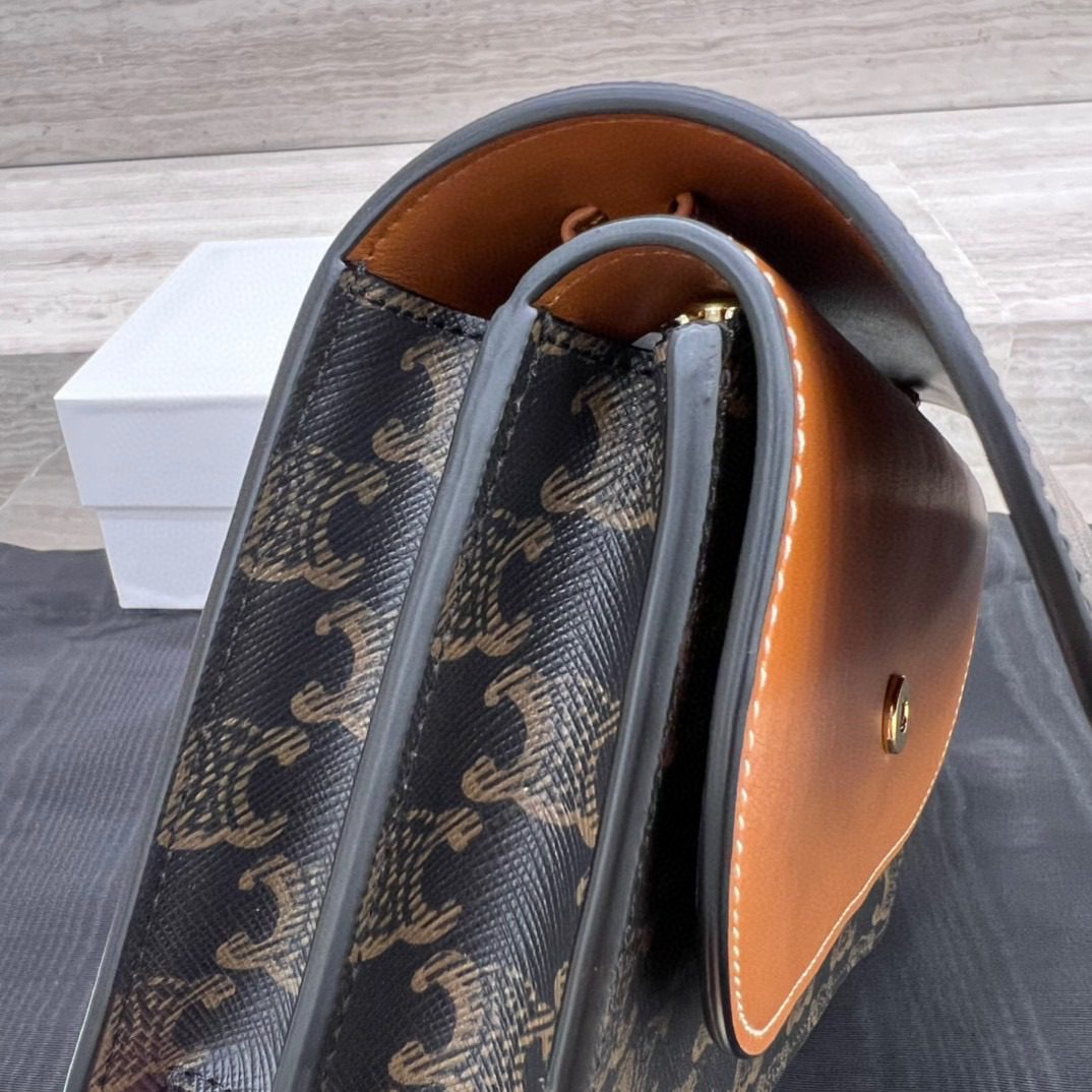 Celine Triomph Canvas Bag view 6
