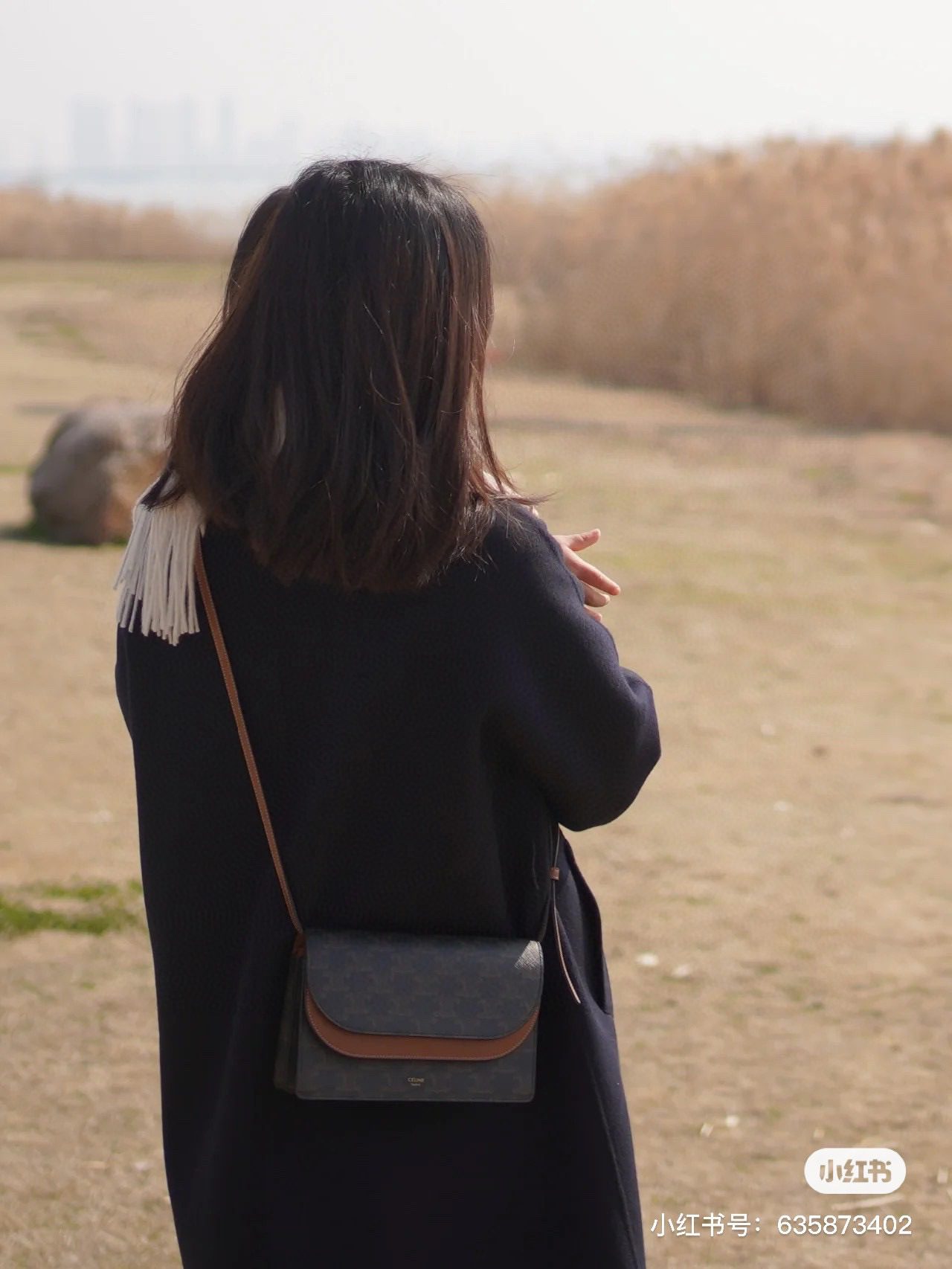 Celine Triomph Canvas Bag view 7