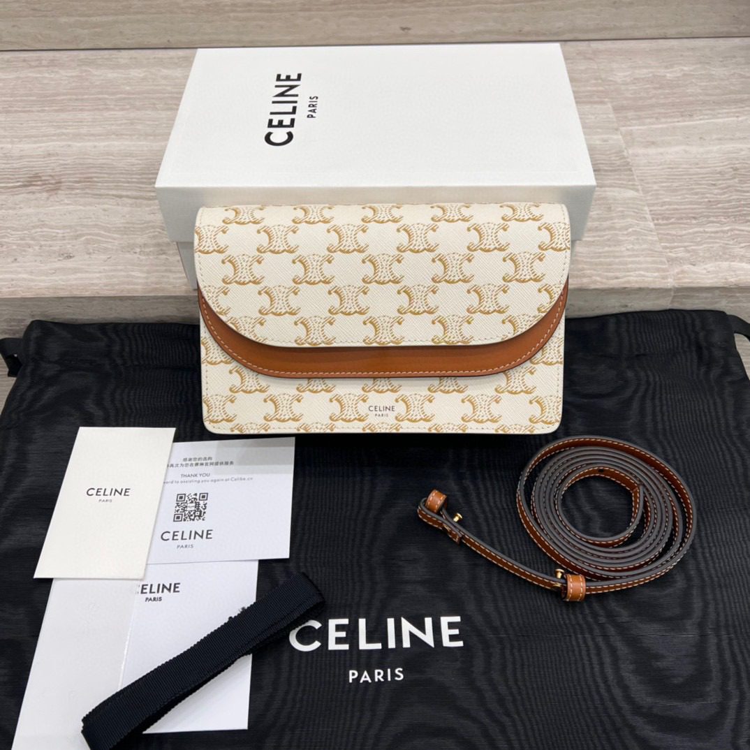 Celine Triomph Canvas Bag view 8