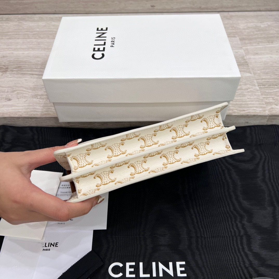 Celine Triomph Canvas Bag view 9