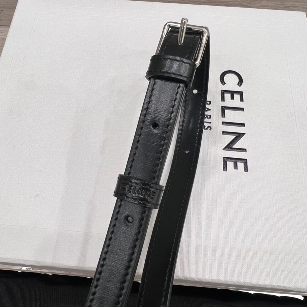 Celine Teen Triomphe Bag view 7