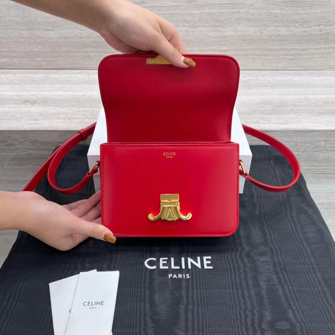 Celine Teen Triomphe Bag view 5