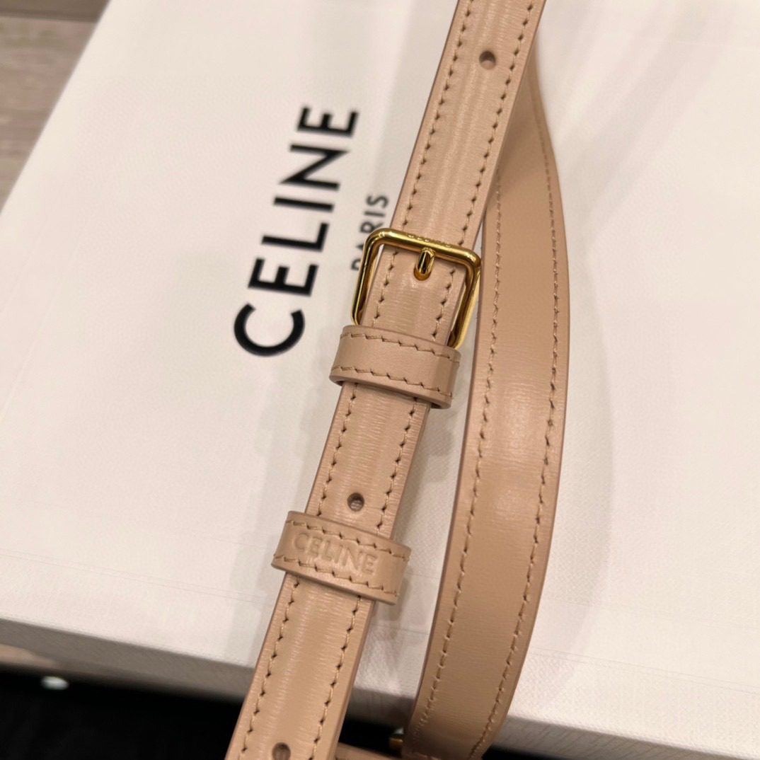 Celine Teen Triomphe Bag view 5