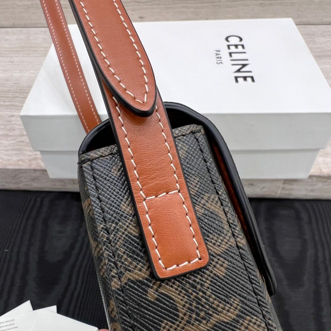 Celine Triomphe Bag view 5