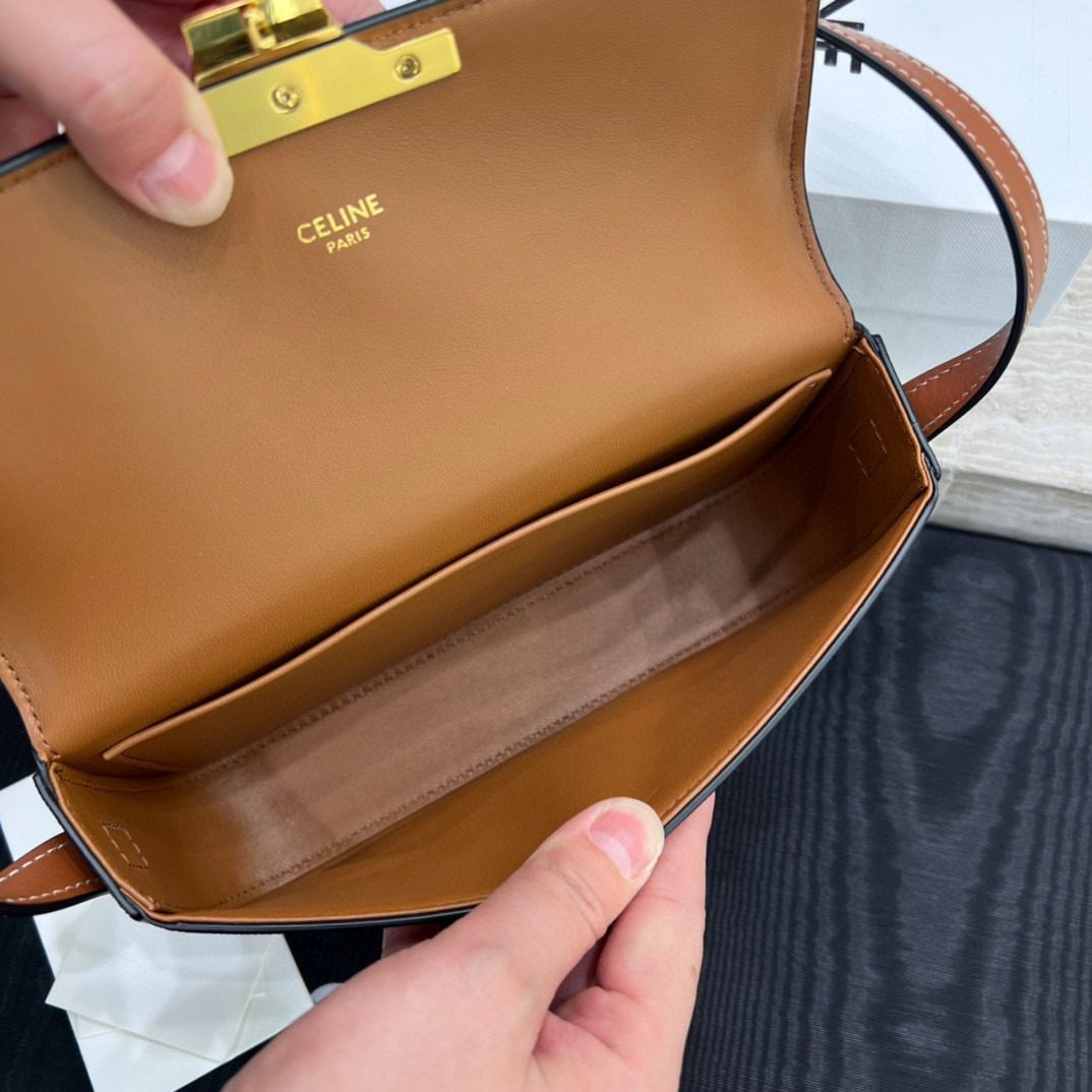 Celine Triomphe Bag view 6