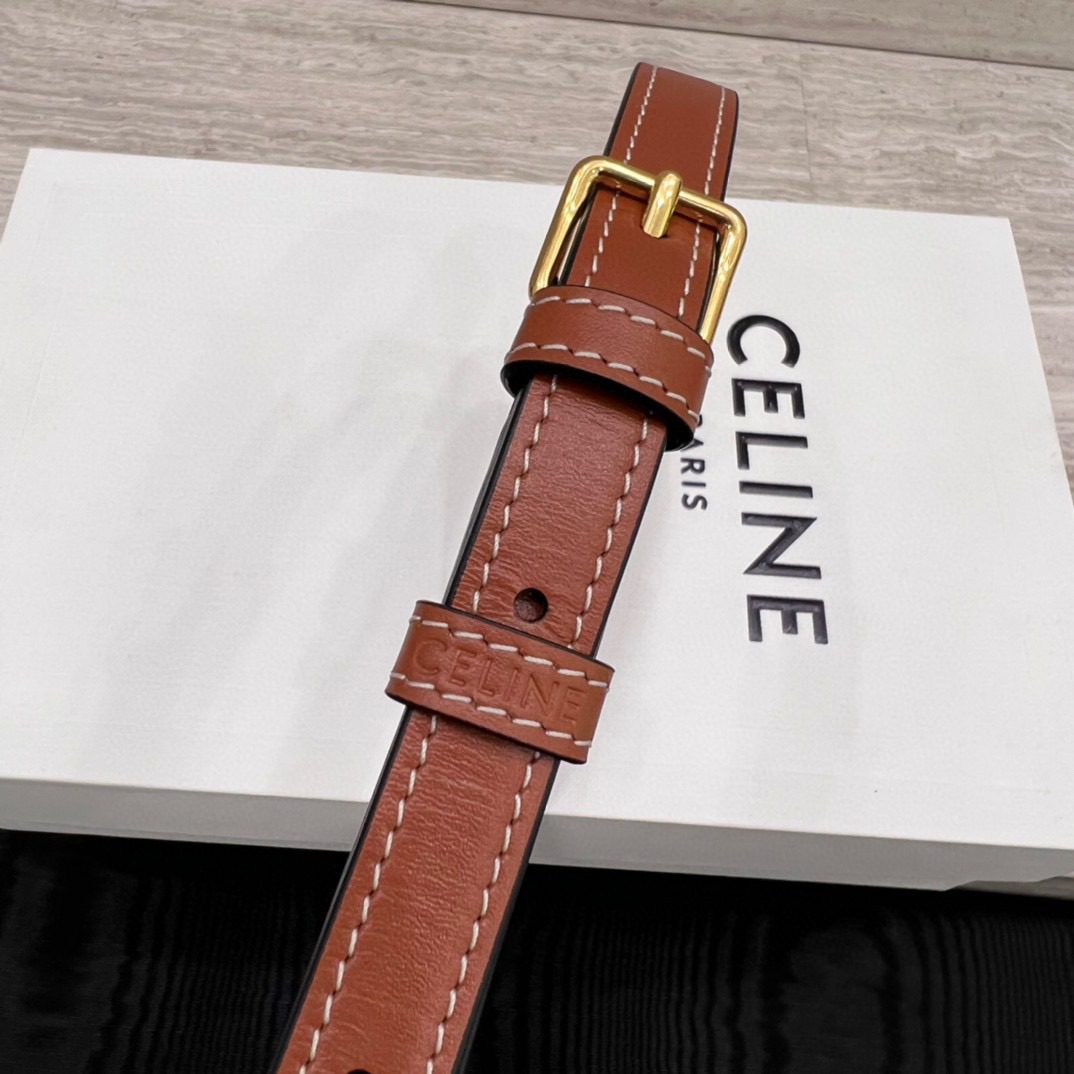 Celine Triomphe Bag view 7