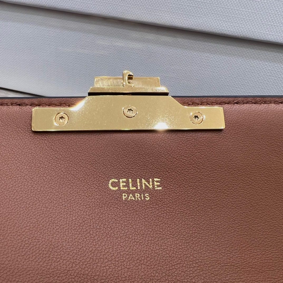 Celine Triomphe Bag view 8