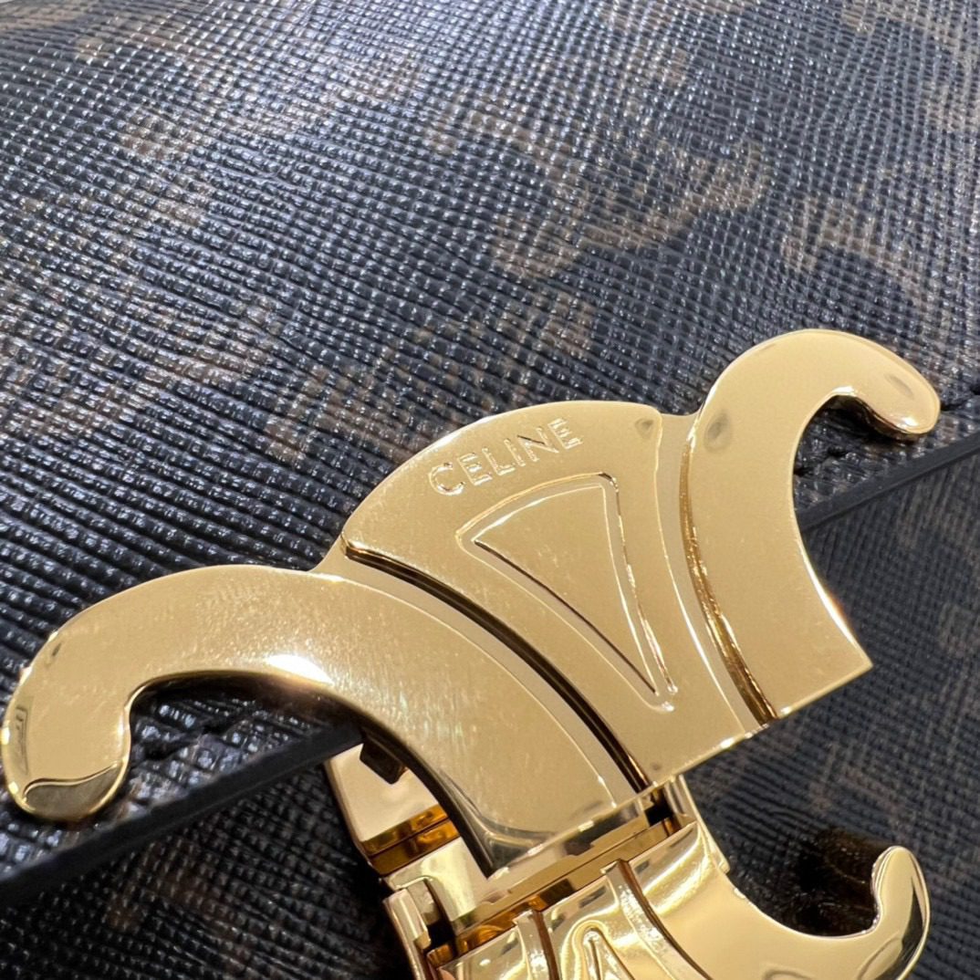 Celine Triomphe Bag view 9
