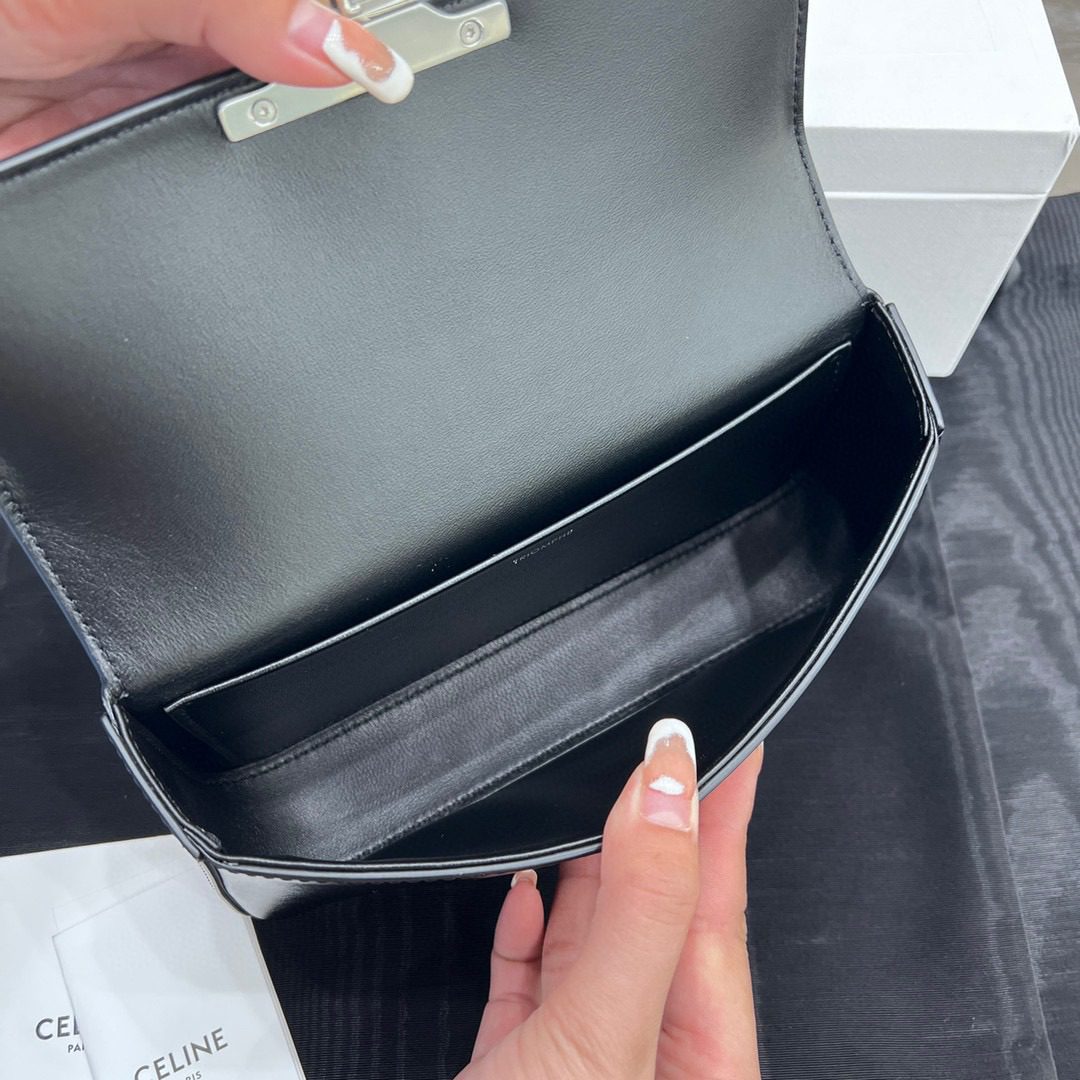 Celine Triomphe Bag view 4