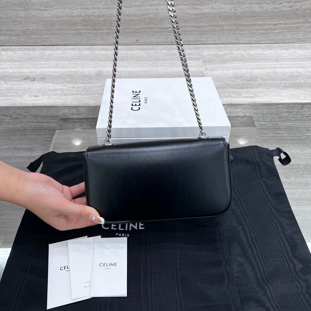 Celine Triomphe Bag view 5