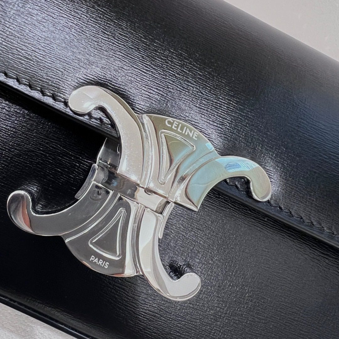 Celine Triomphe Bag view 6