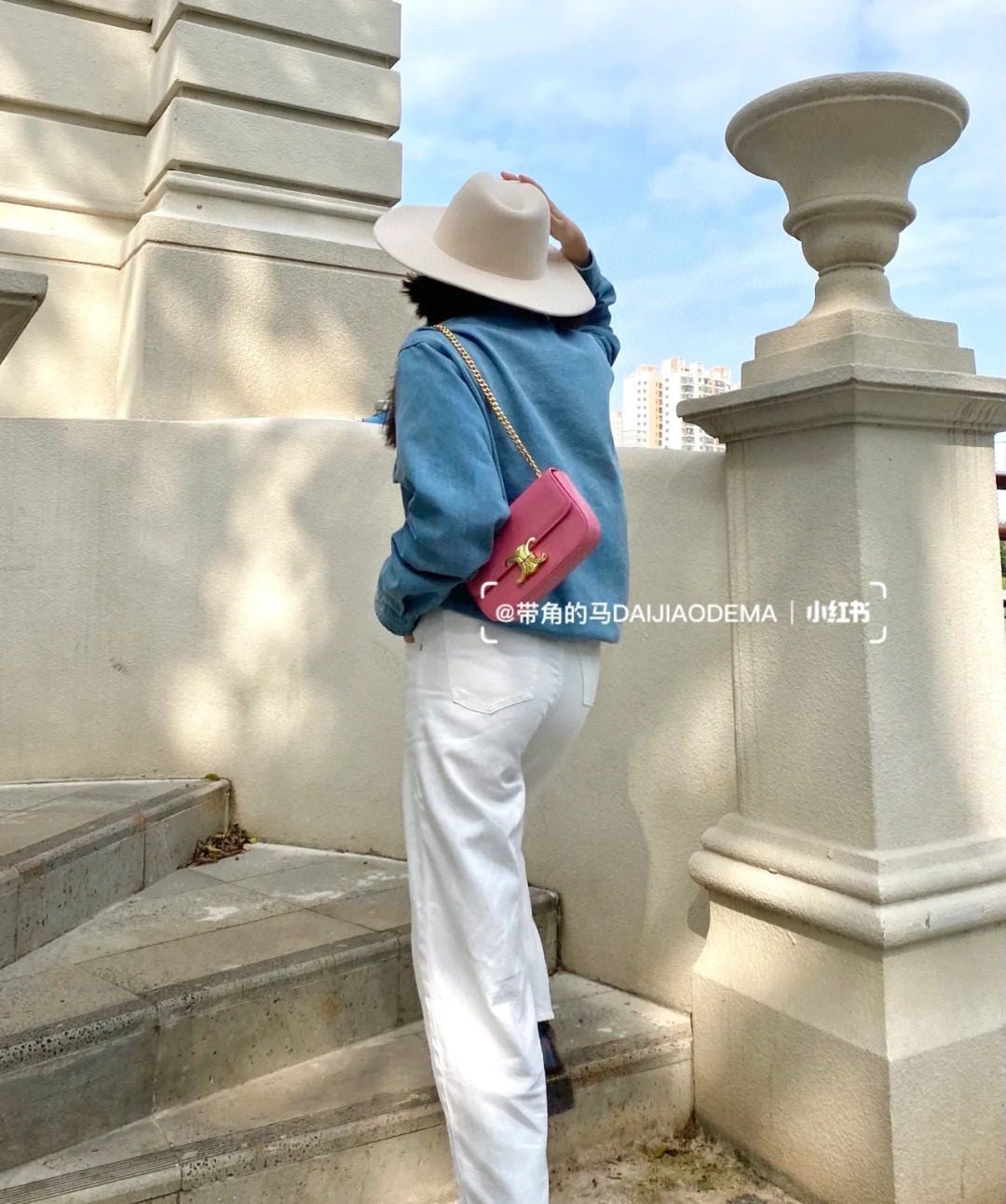 Celine Triomphe Bag view 9