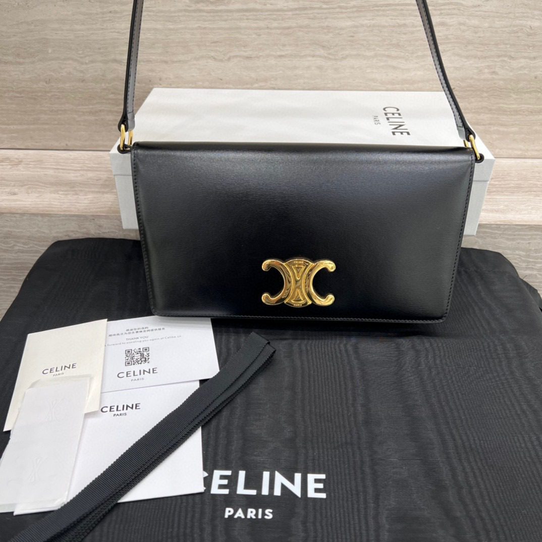 Celine Trapeze Triomphe Bag view 2