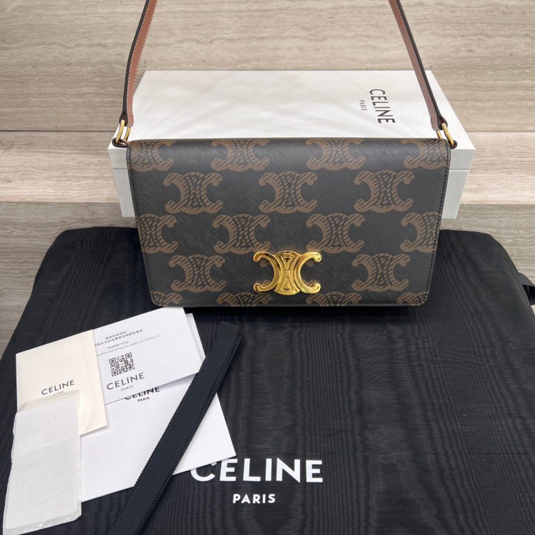 Celine Trapeze Triomphe Bag view 3
