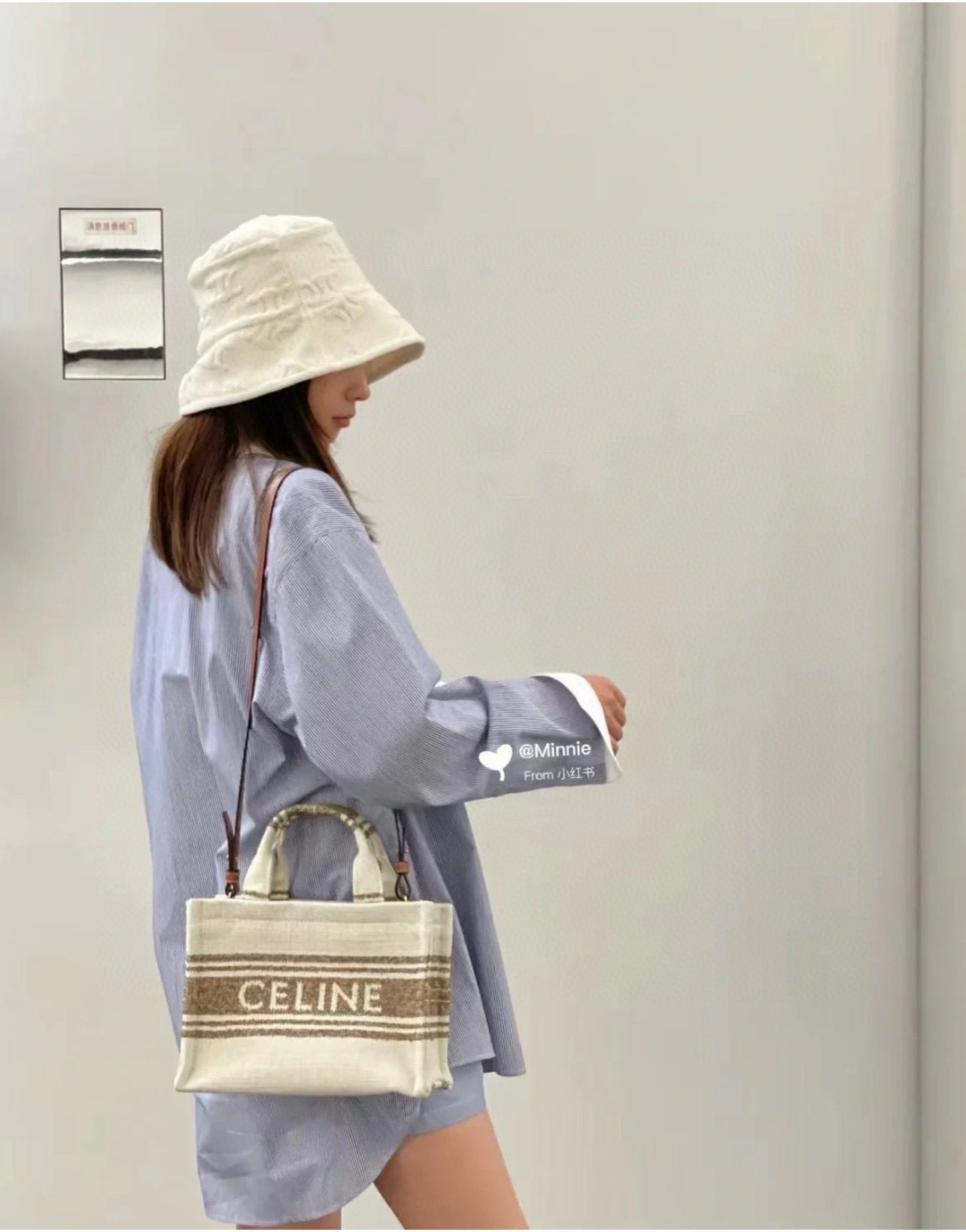 Celine Cabas Thais Bag view 9