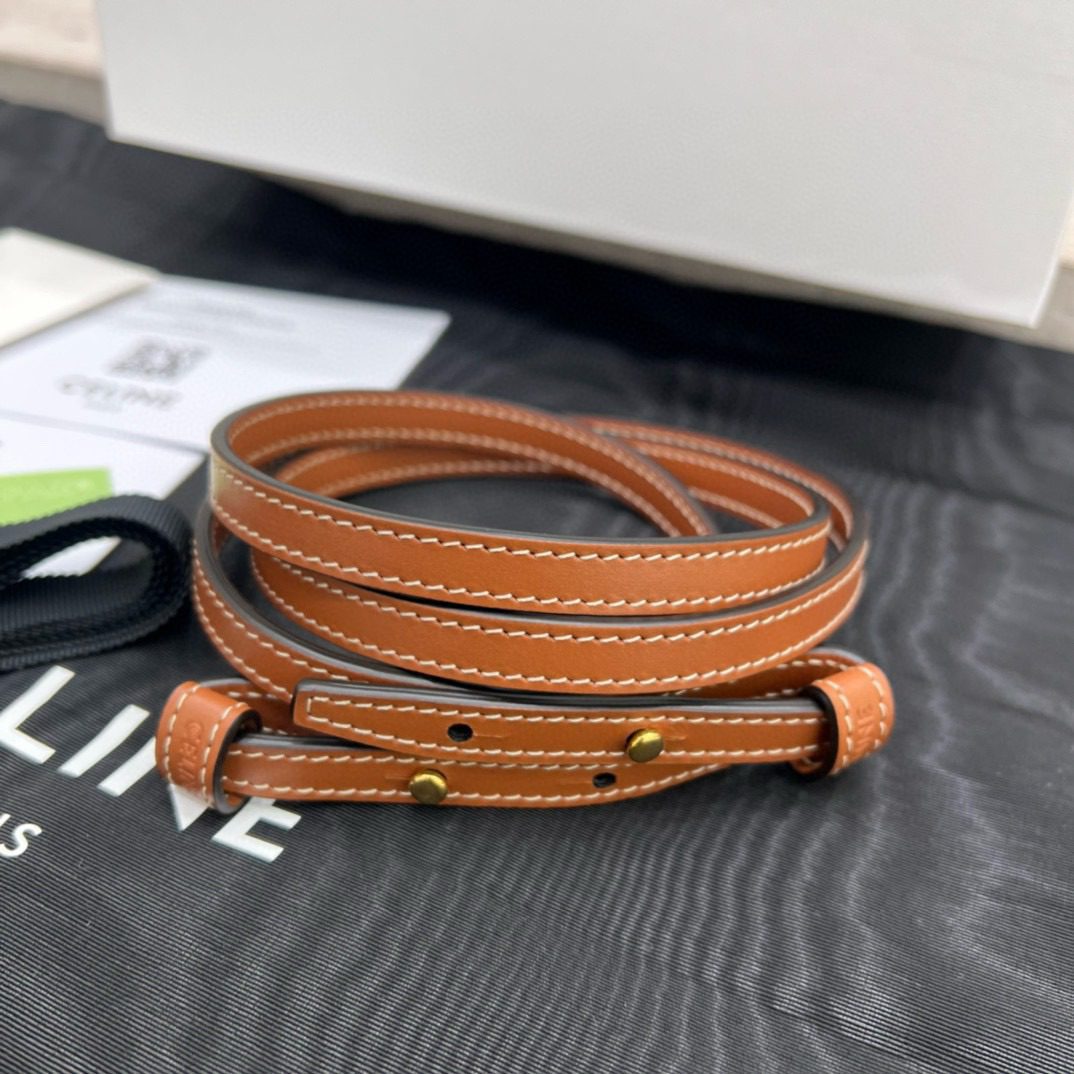 Celine Mini Vertical CABAS Bag view 5