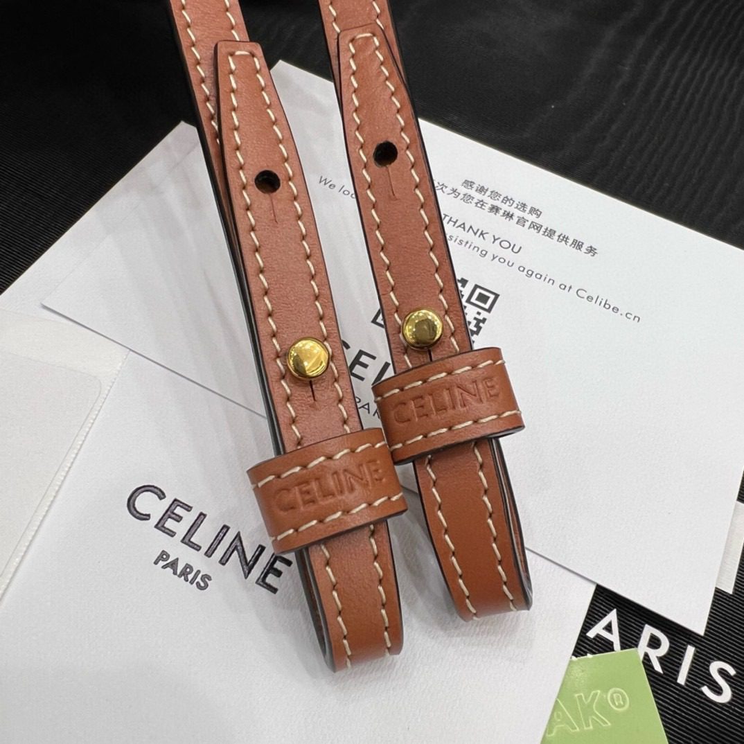 Celine Mini Vertical CABAS Bag view 6
