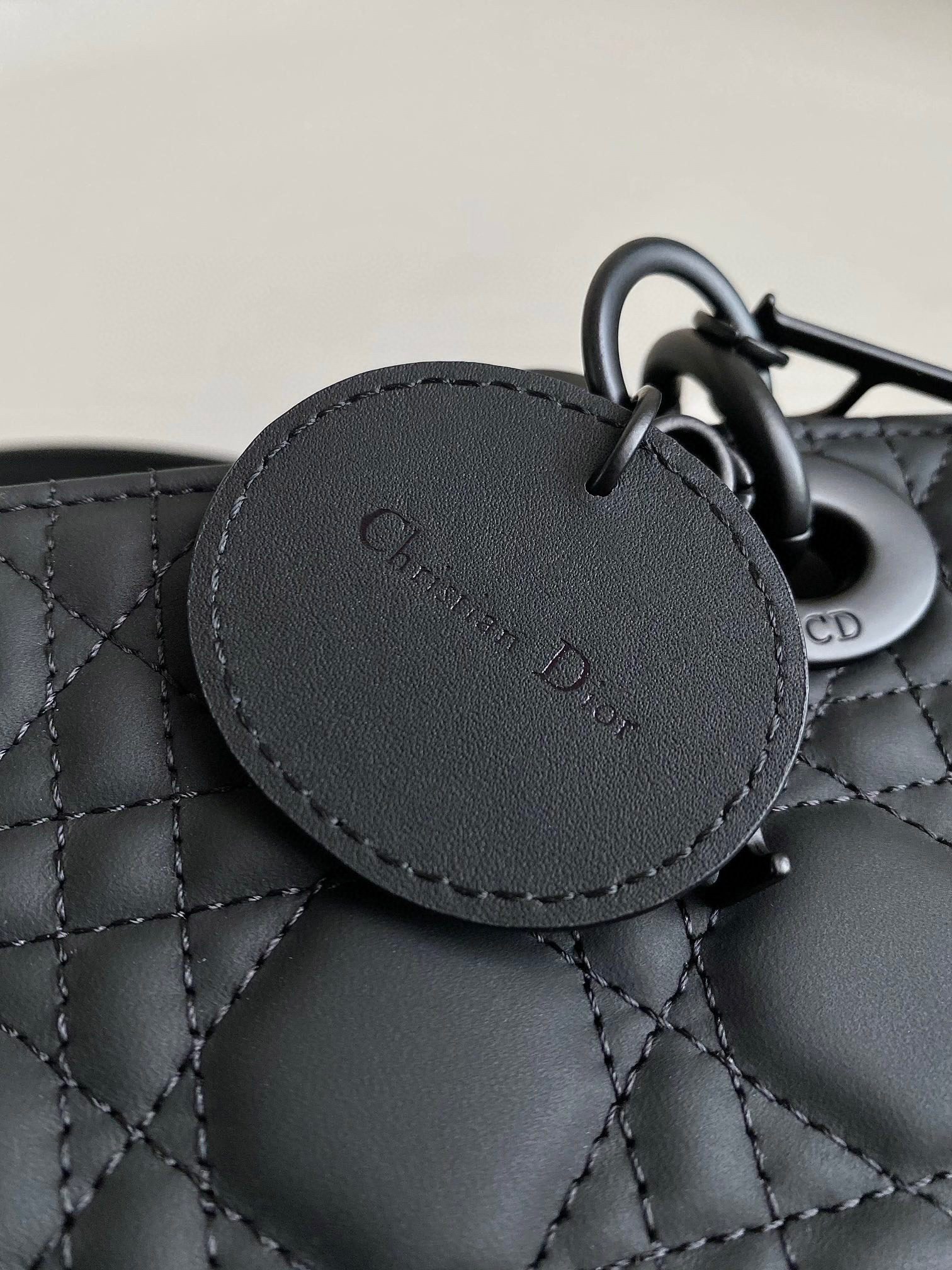 Dior 2023 D-Joy Bag Ultramatte Black view 5