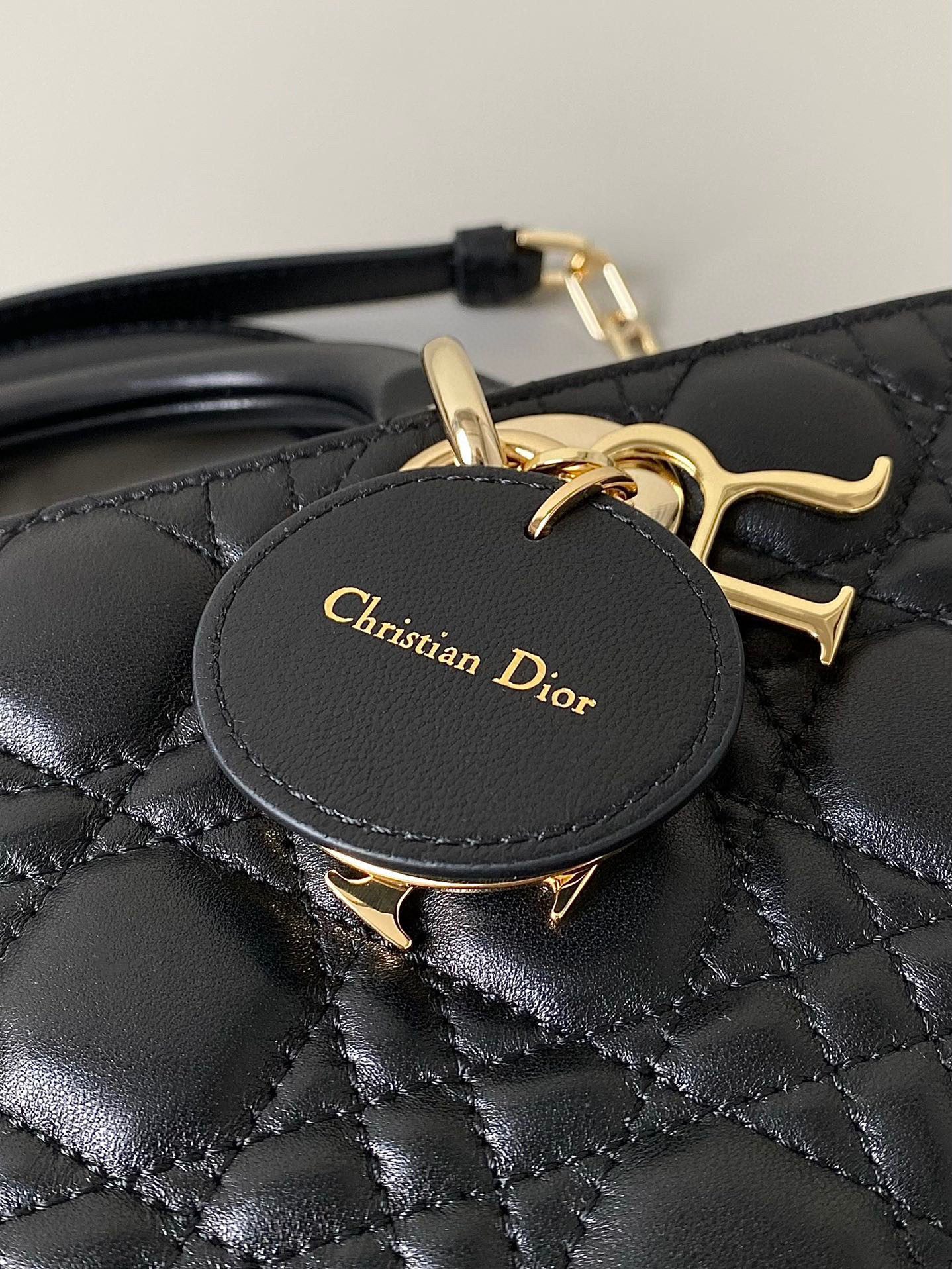 Dior D-Joy Bag Lambskin view 5