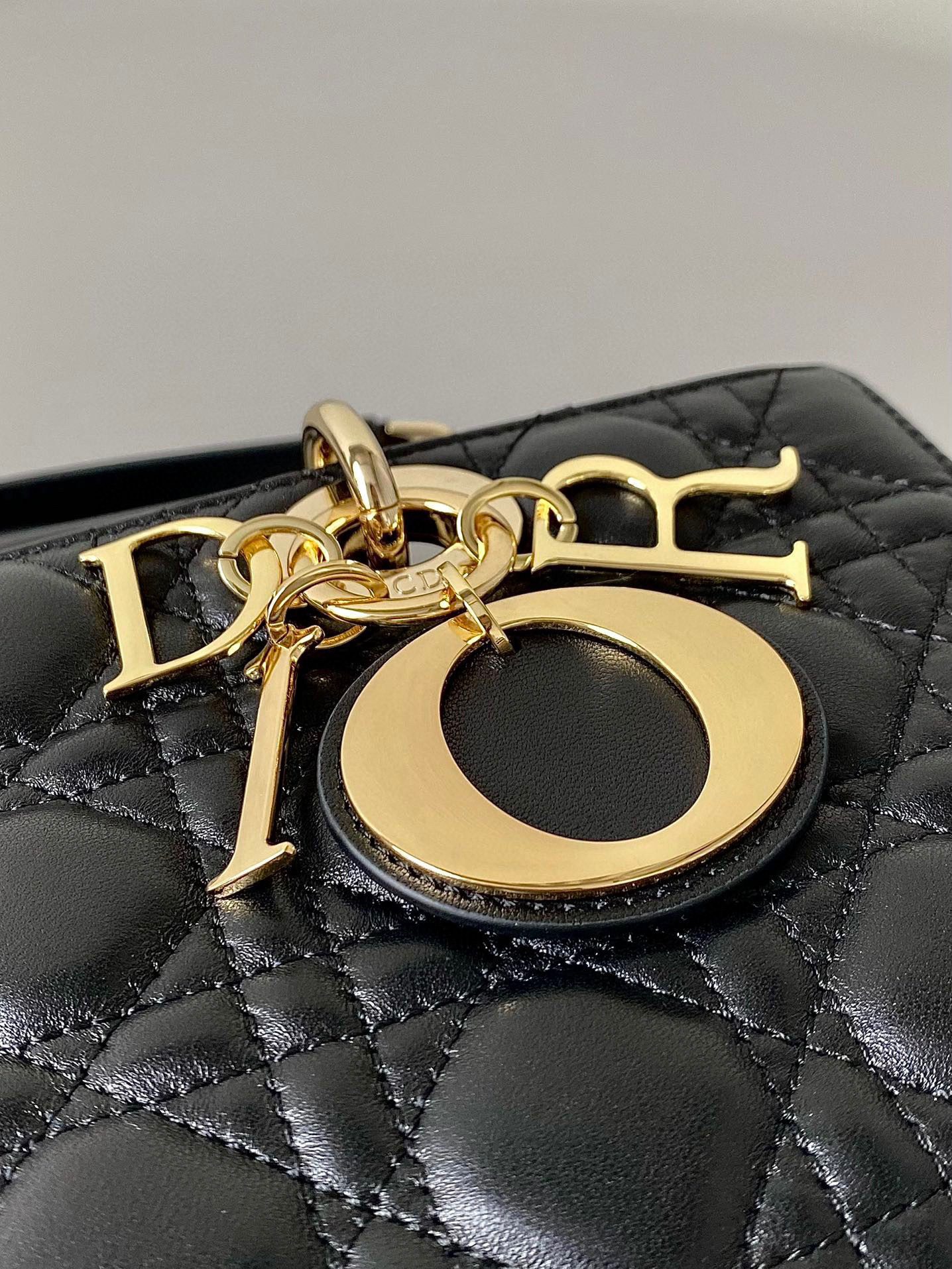 Dior D-Joy Bag Lambskin view 6