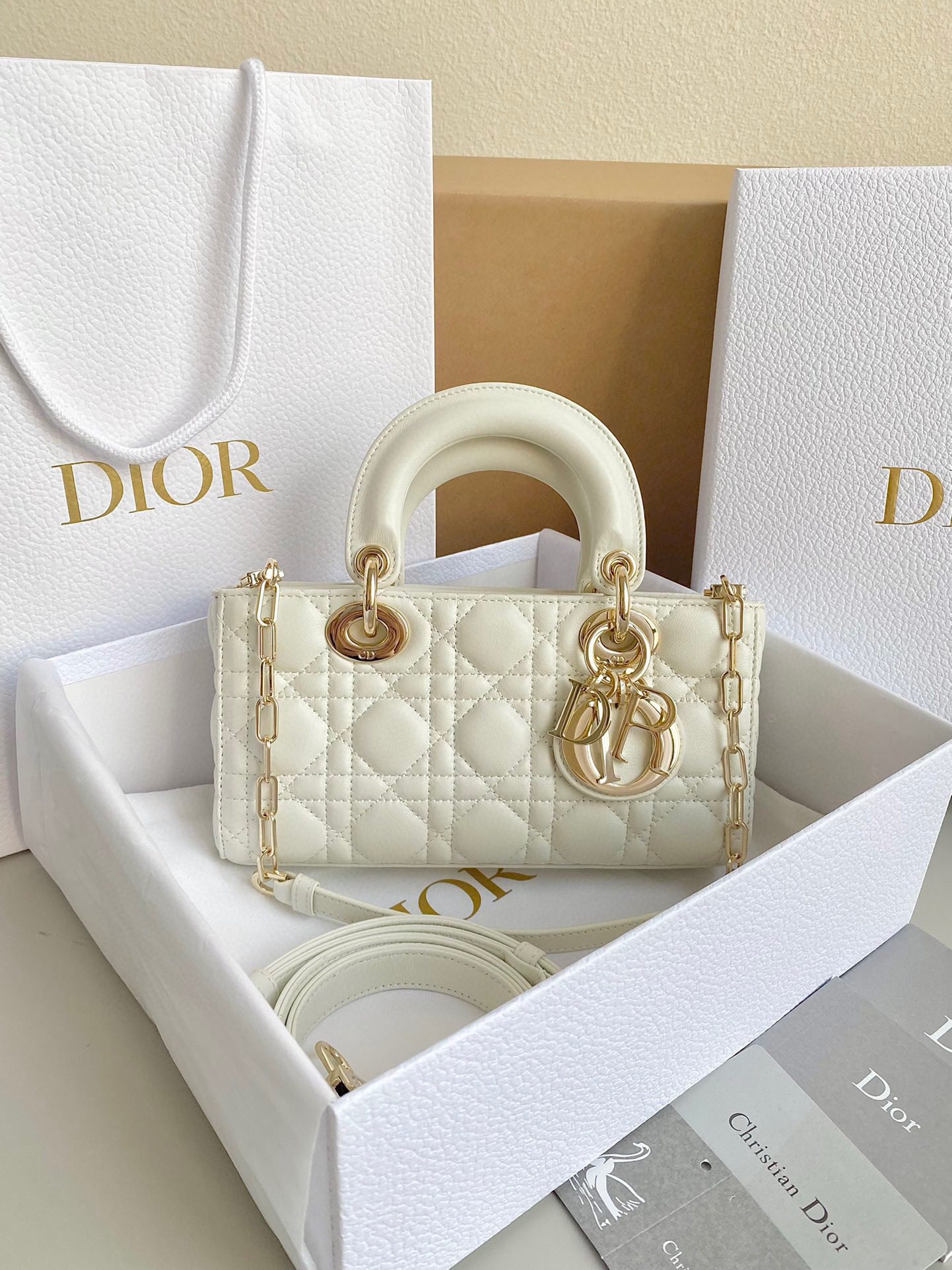 Dior 2023 D-Joy Bag view 4