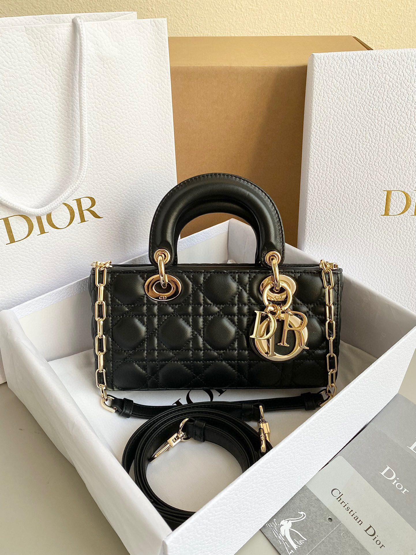 Dior 2023 D-Joy Bag view 5