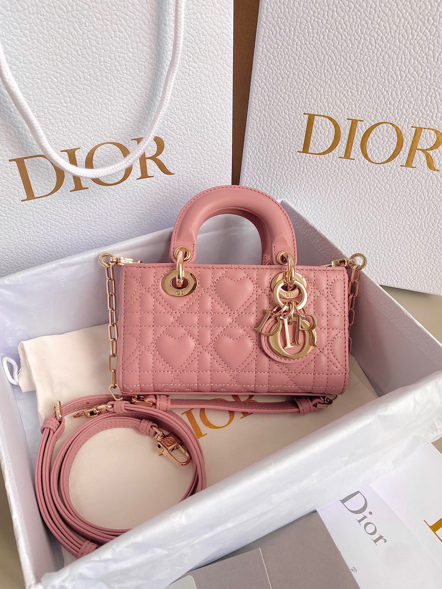 Dior 2023 D-Joy Bag Lambskin view 1