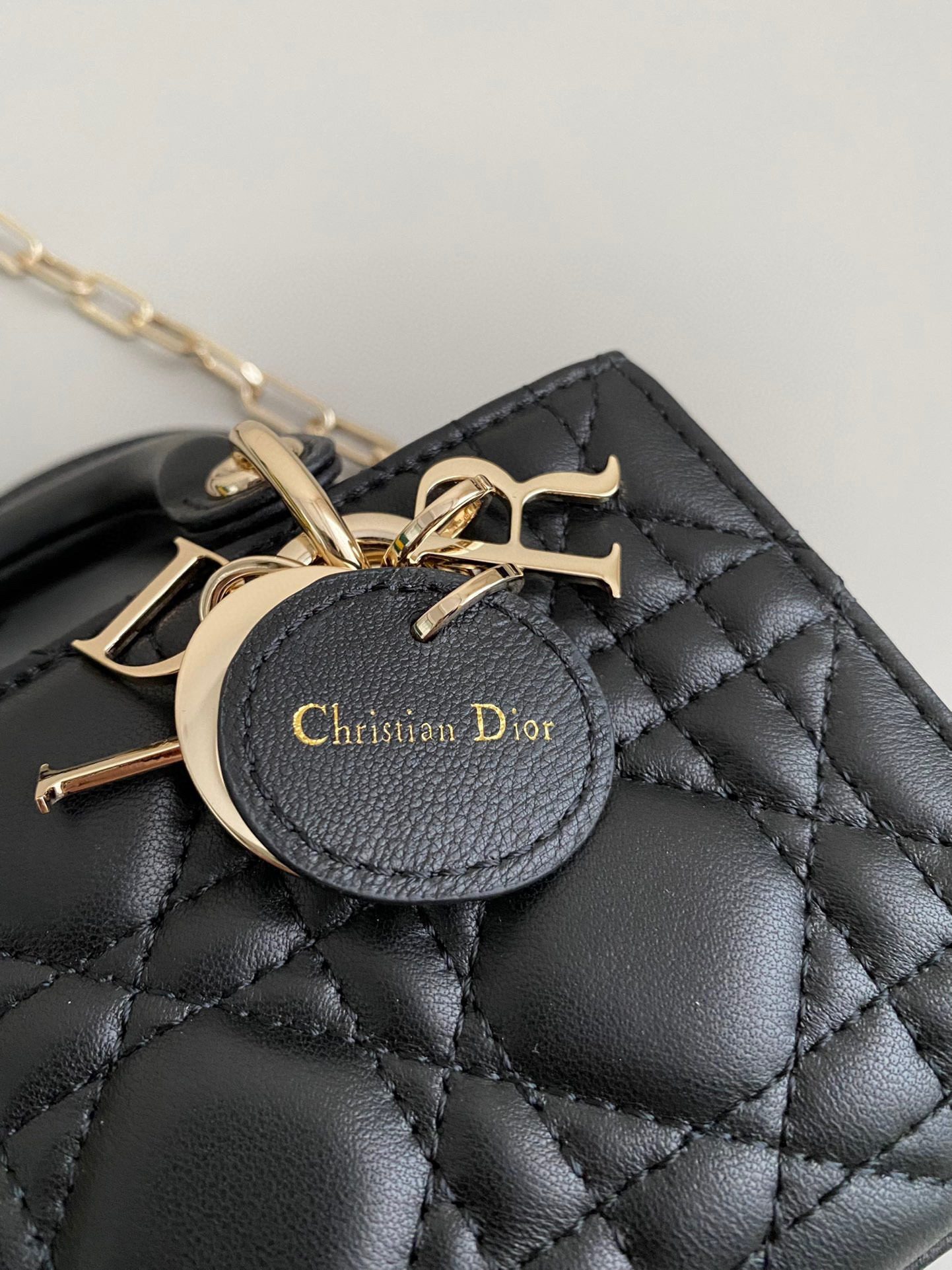Dior 2023 D-Joy Bag Lambskin view 8