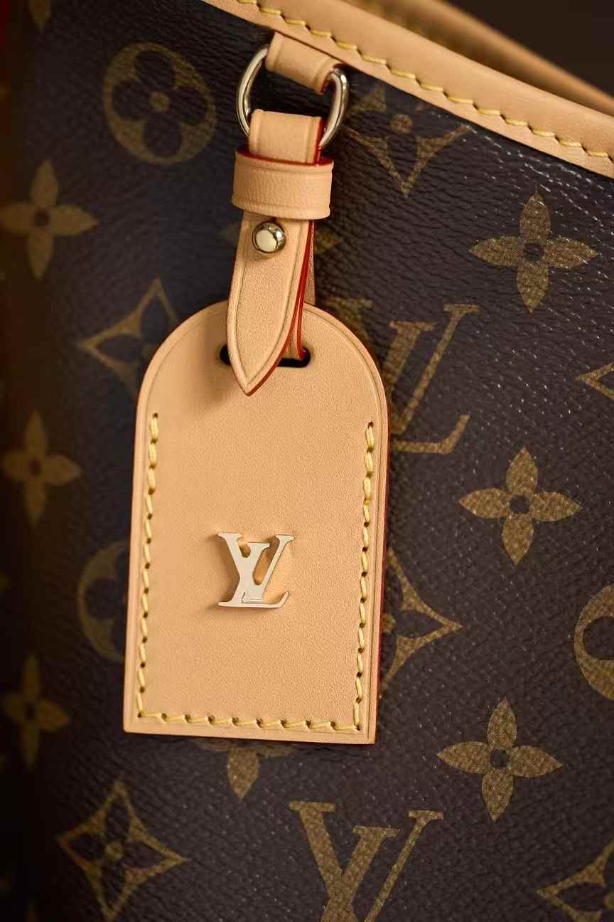 Louis Vuitton Carryall M46203 view 5