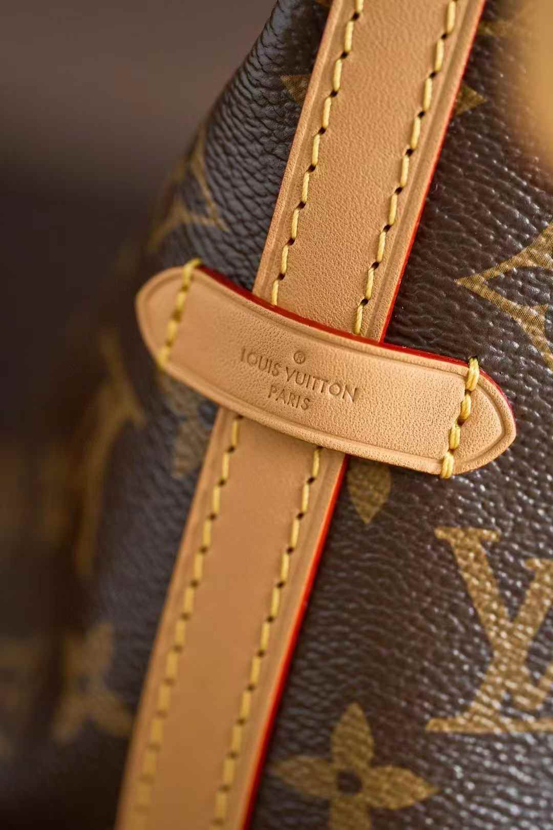 Louis Vuitton Carryall M46203 view 7