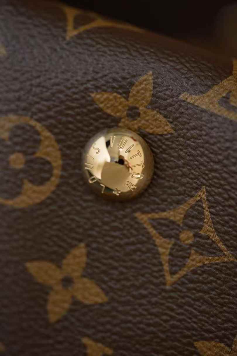 Louis Vuitton Carryall M46203 view 8