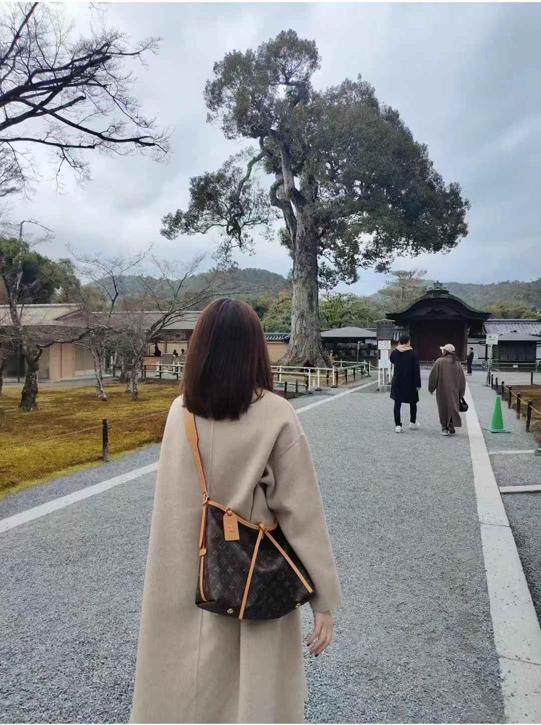 Louis Vuitton Carryall M46203 view 9