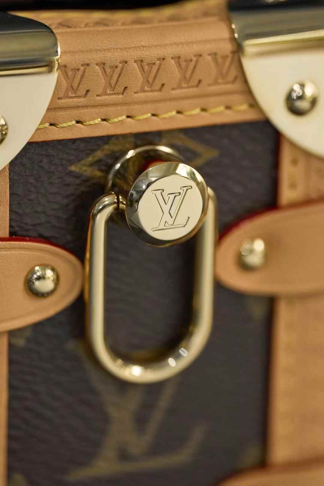 Louis Vuitton Side Trunk M46358 view 10