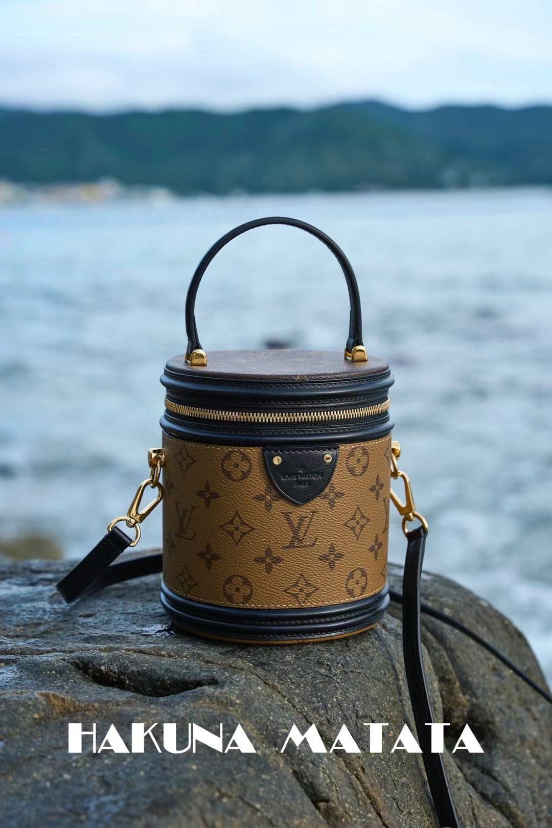 Louis Vuitton Cannes M43986 view 1