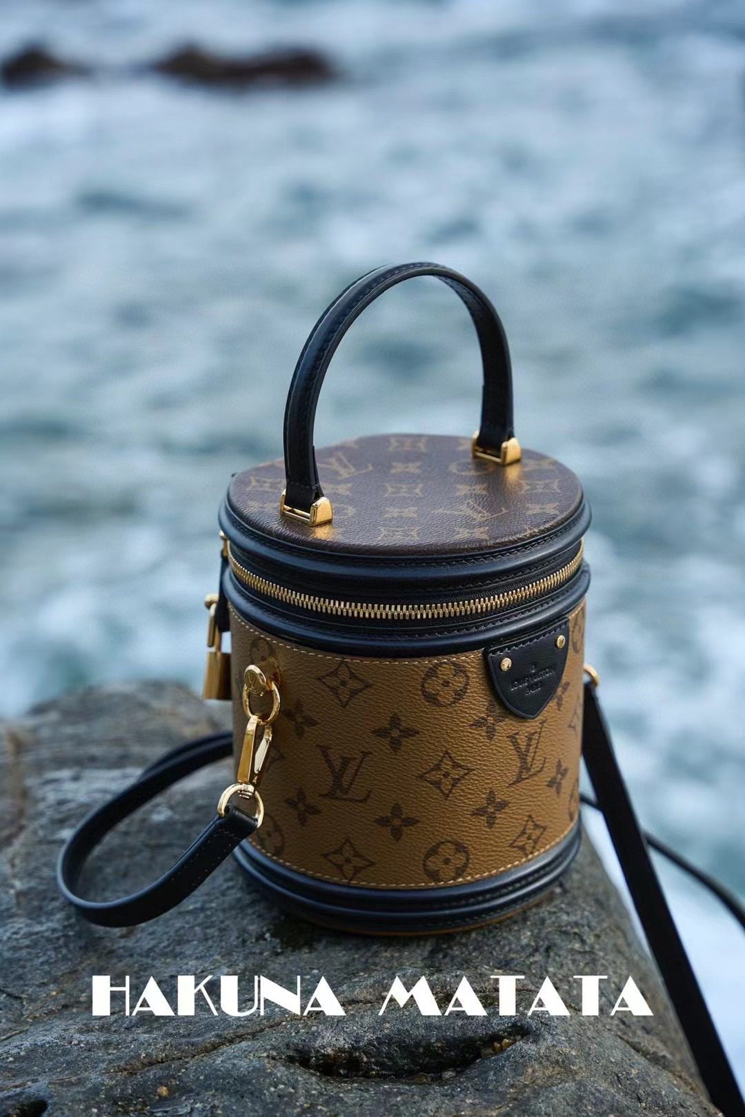 Louis Vuitton Cannes M43986 view 2