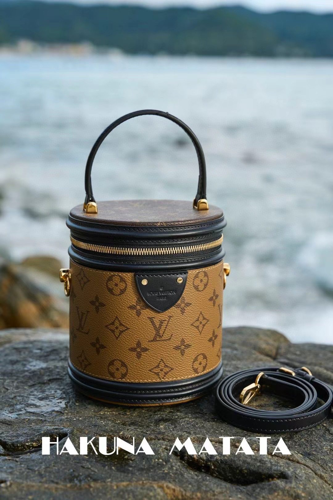 Louis Vuitton Cannes M43986 view 3