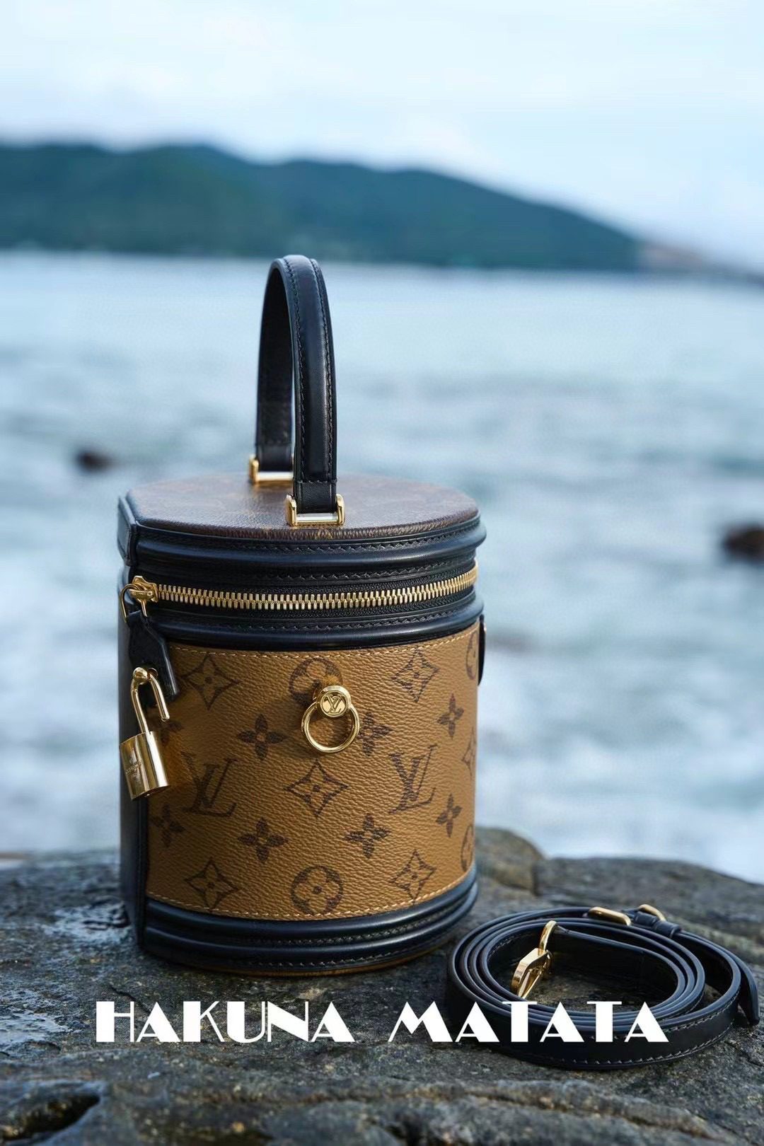 Louis Vuitton Cannes M43986 view 4