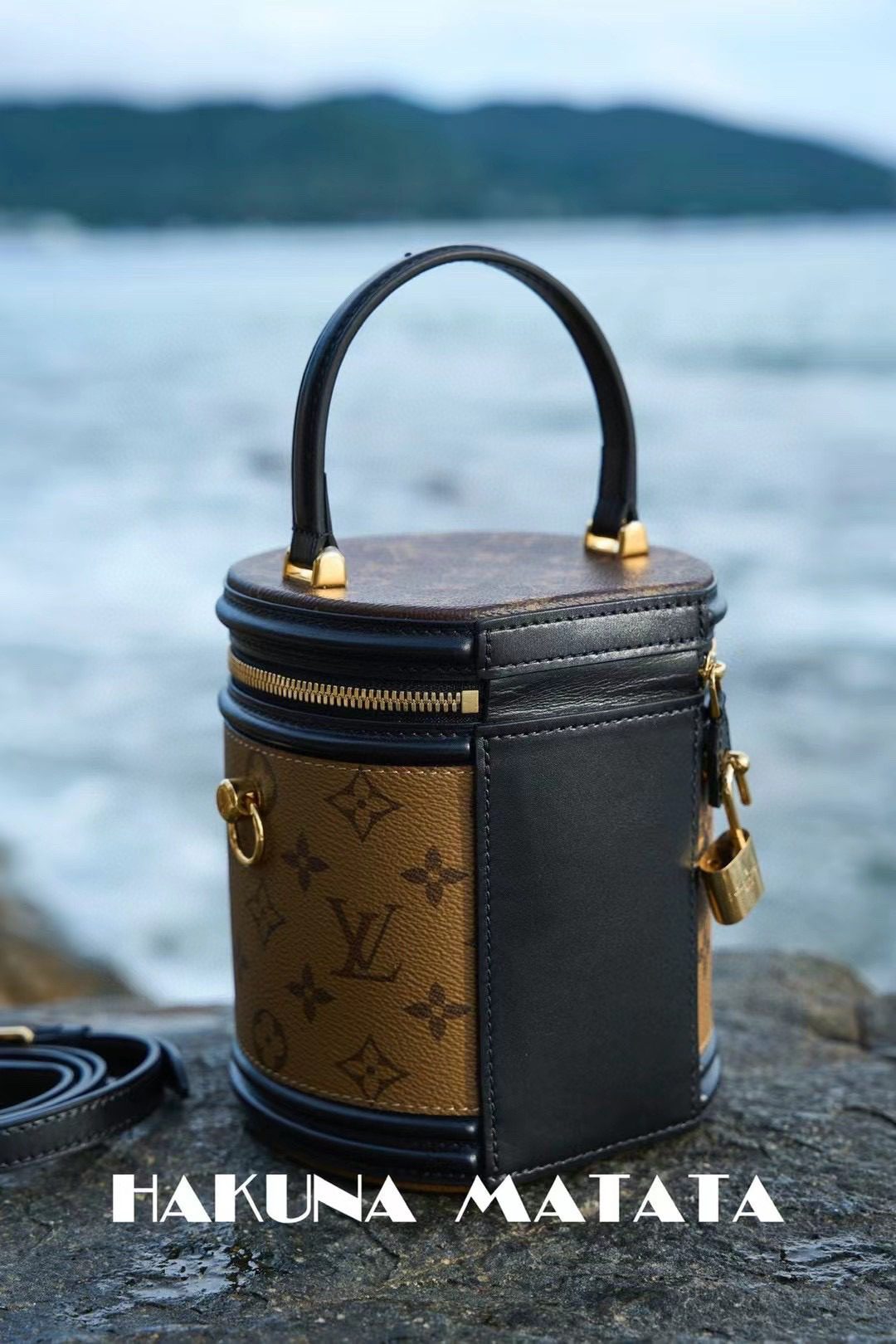 Louis Vuitton Cannes M43986 view 5
