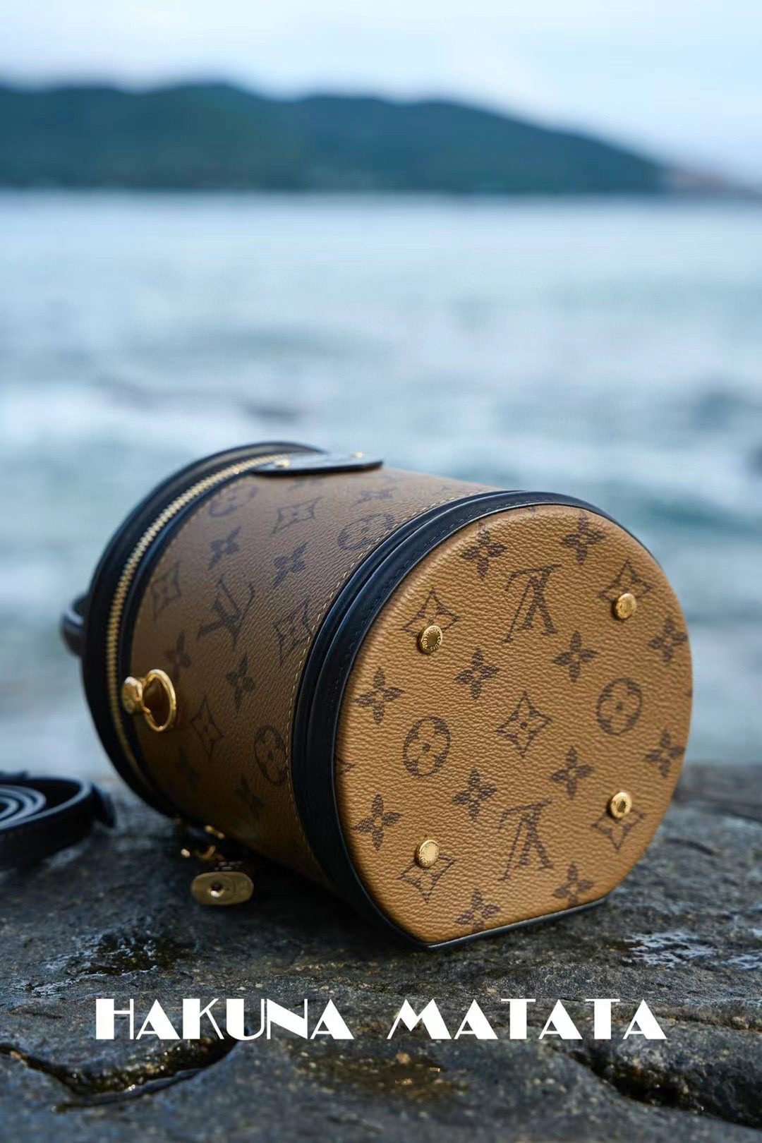 Louis Vuitton Cannes M43986 view 6
