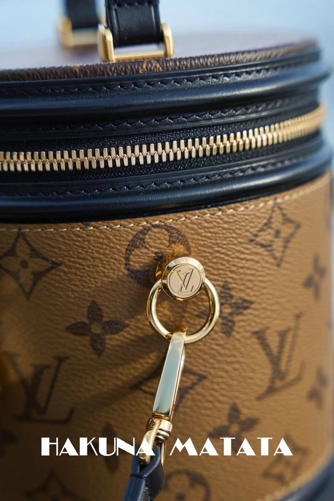 Louis Vuitton Cannes M43986 view 7
