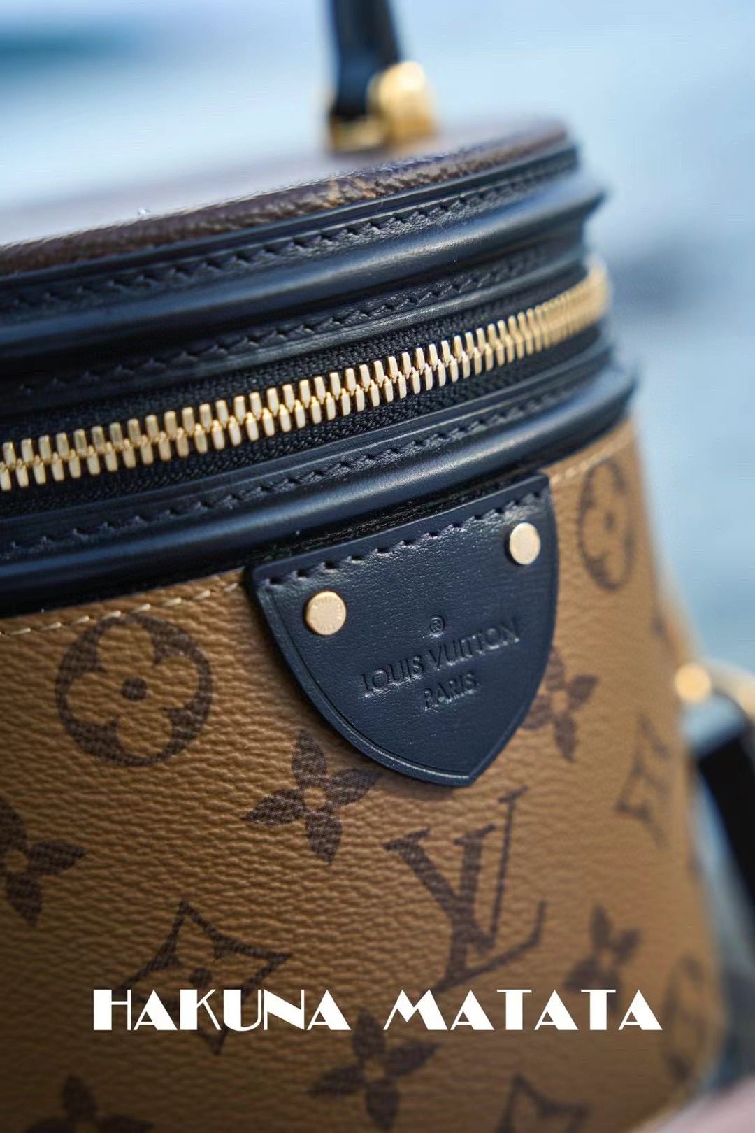 Louis Vuitton Cannes M43986 view 8
