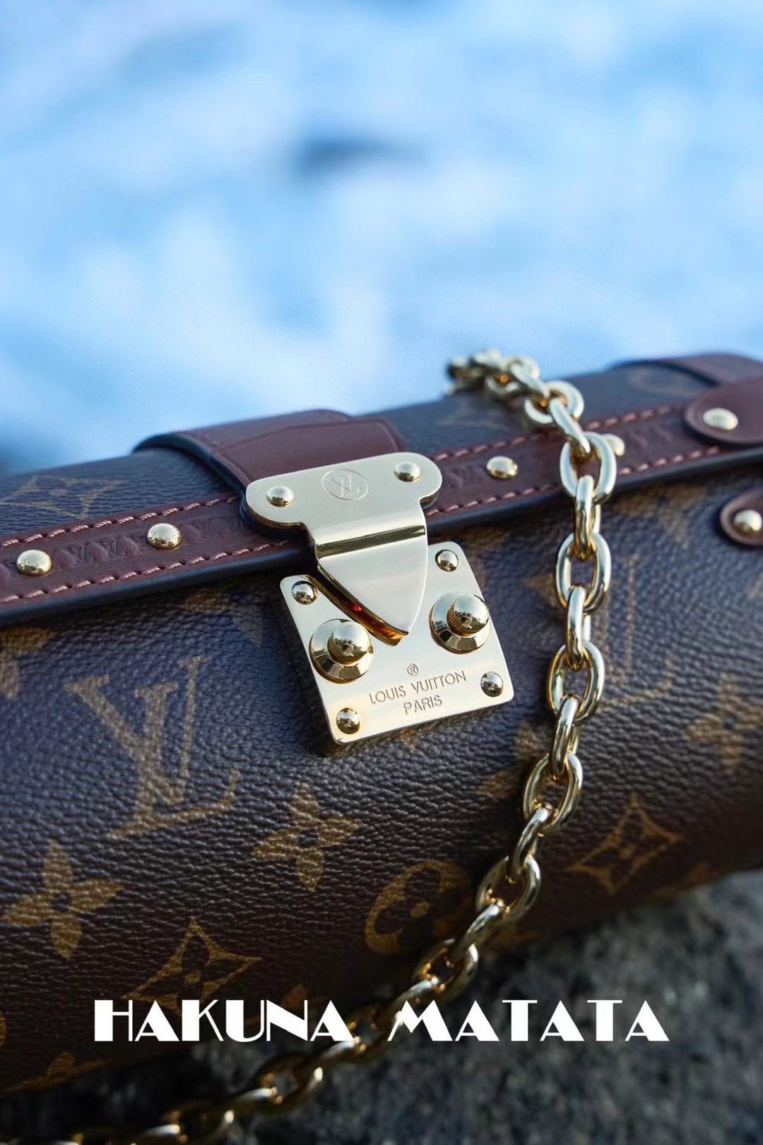 Louis Vuitton Papillon Trunk M57835 view 5