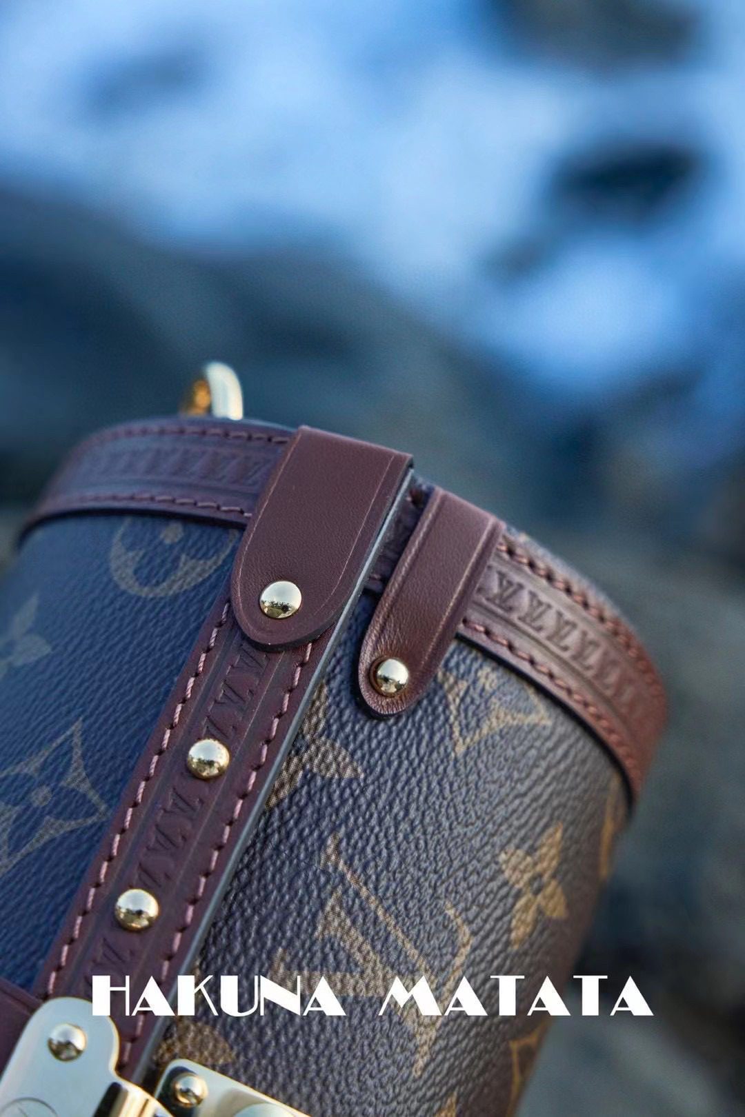 Louis Vuitton Papillon Trunk M57835 view 8
