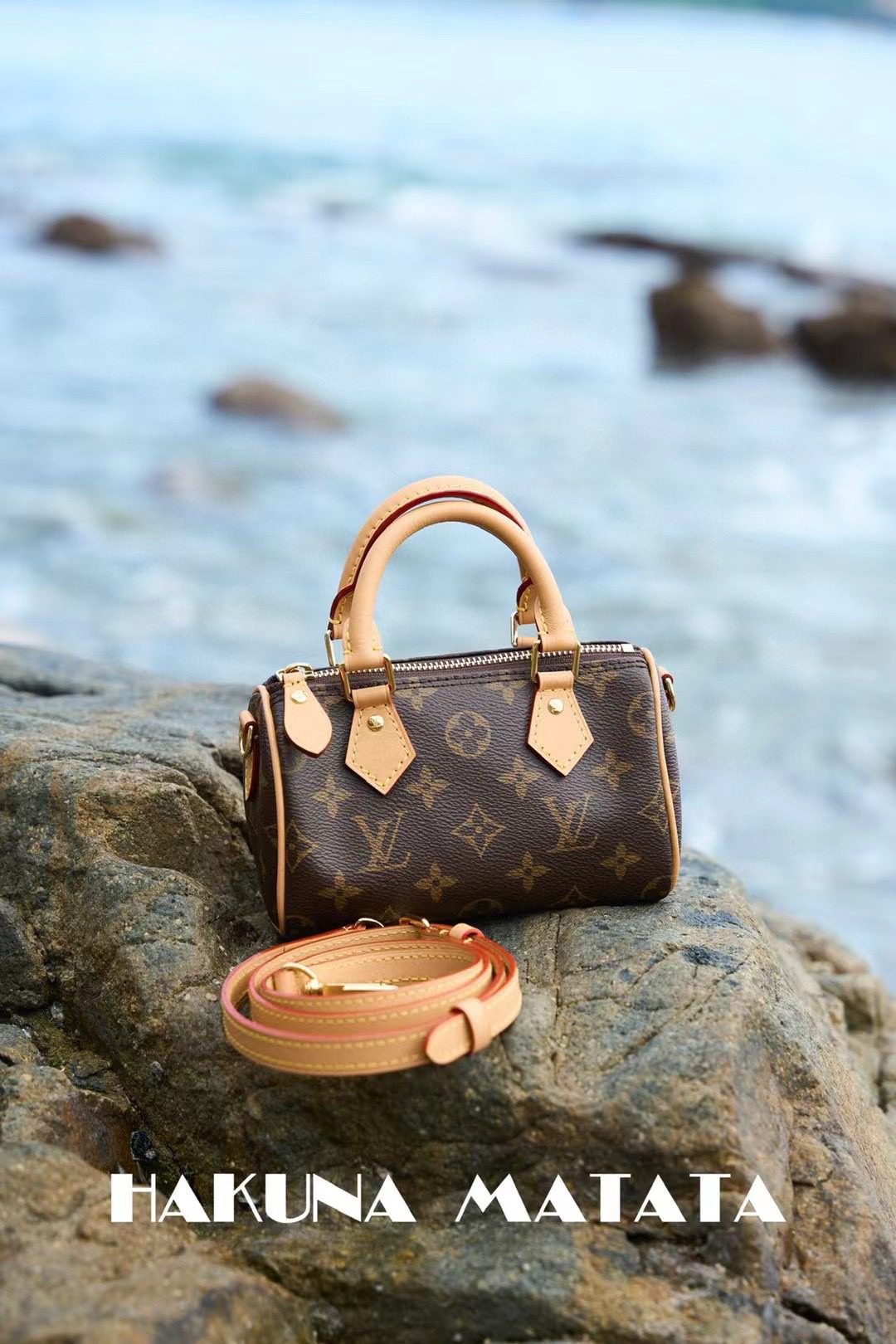 Louis Vuitton Nano Speedy M81085 view 1